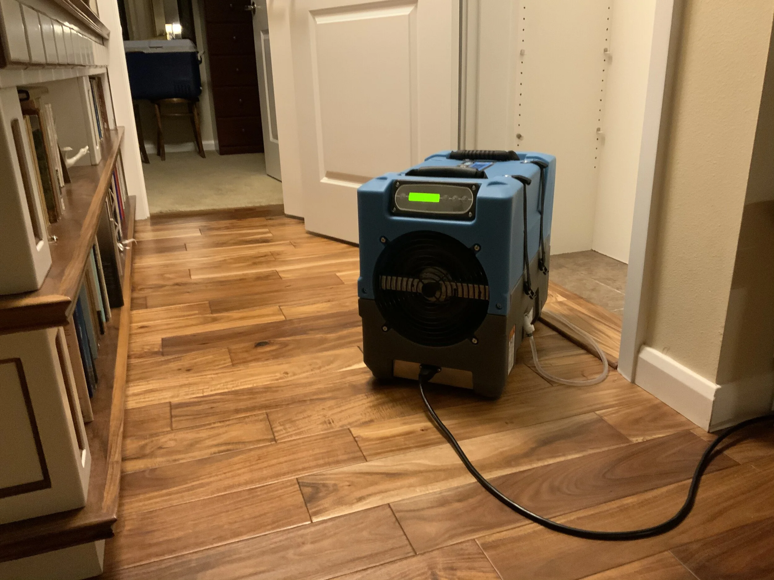 #10 A Woman's Briefs