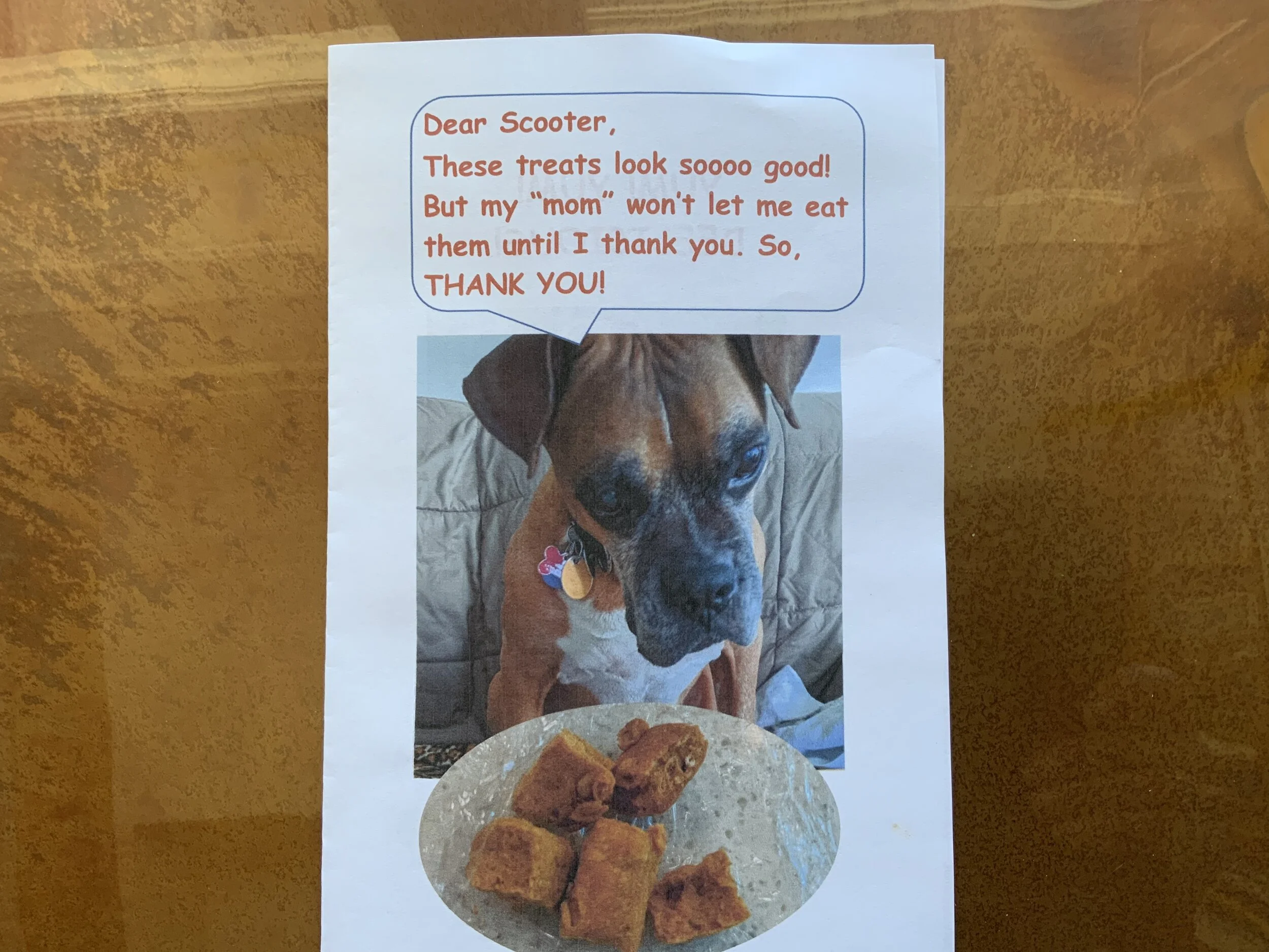 #38 PUPPY -- A LETTER IN THE MAIL