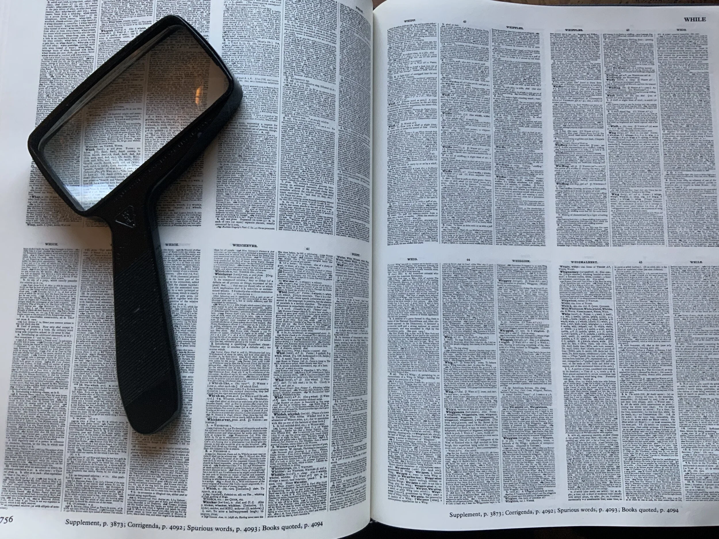 #20 A WOMAN'S BRIEFS  -- "WHILE"