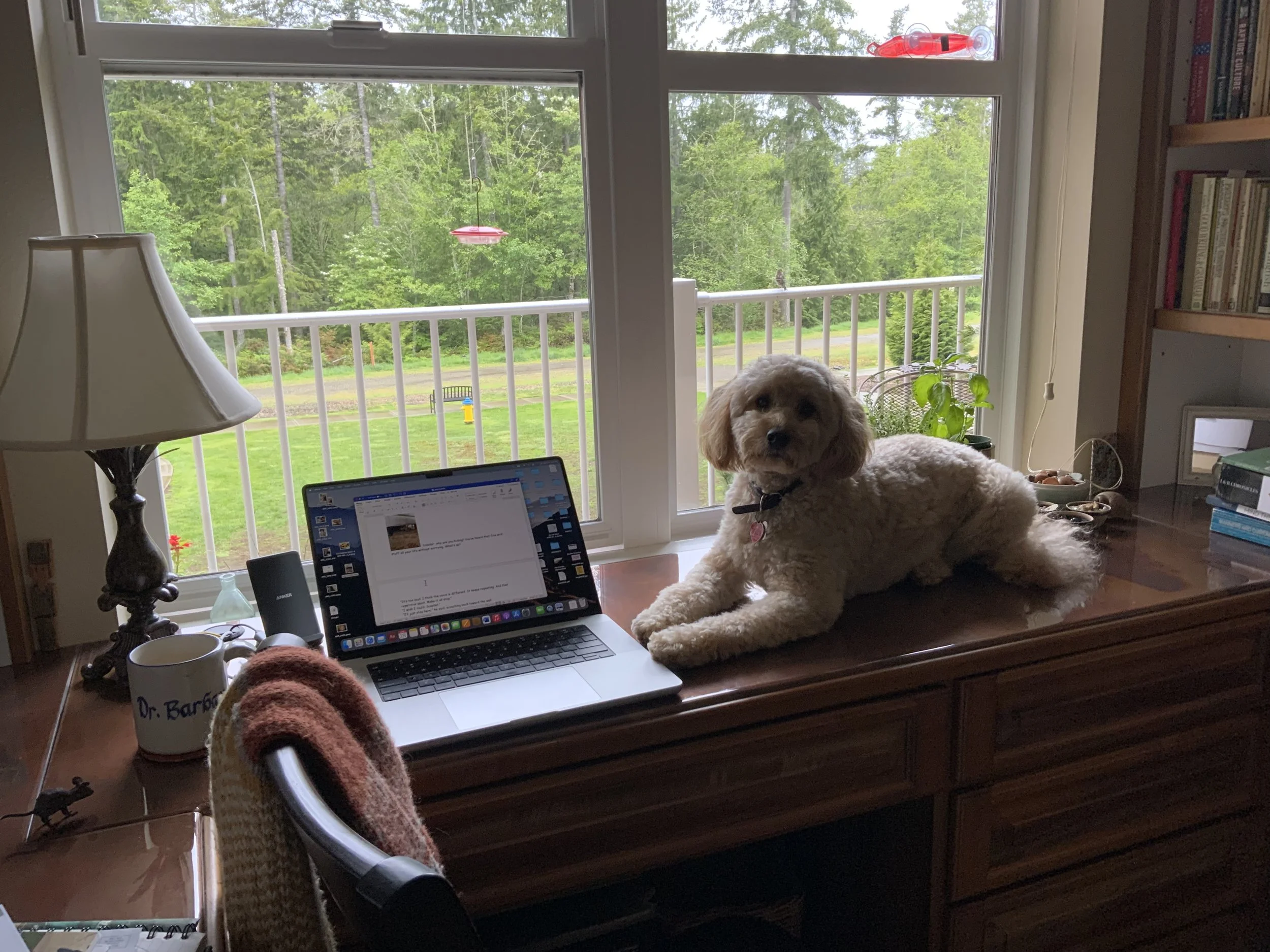 #49 PUPPY -- ONE QUESTION ANSWERED