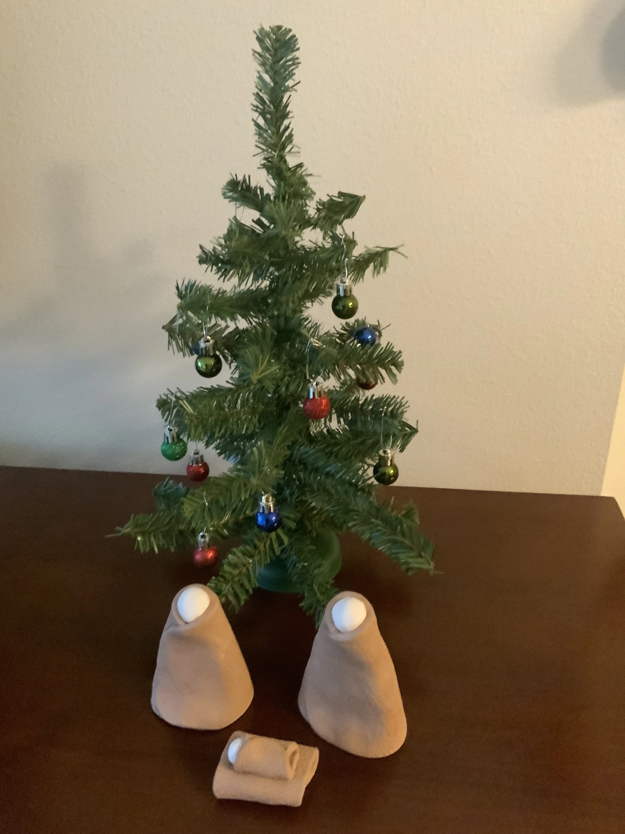 #33 A WOMAN'S BRIEFS: 2022 CHRISTMAS ~ REPRISE