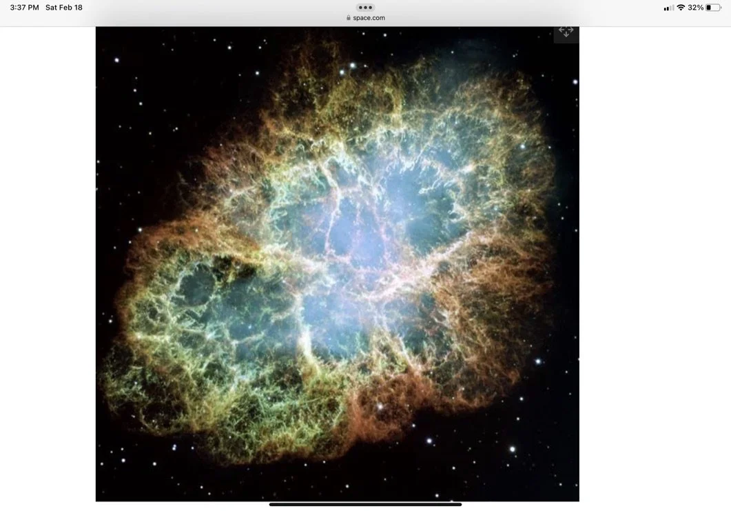 #36 A WOMAN'S BRIEFS:  "WHAT'S NEXT?"