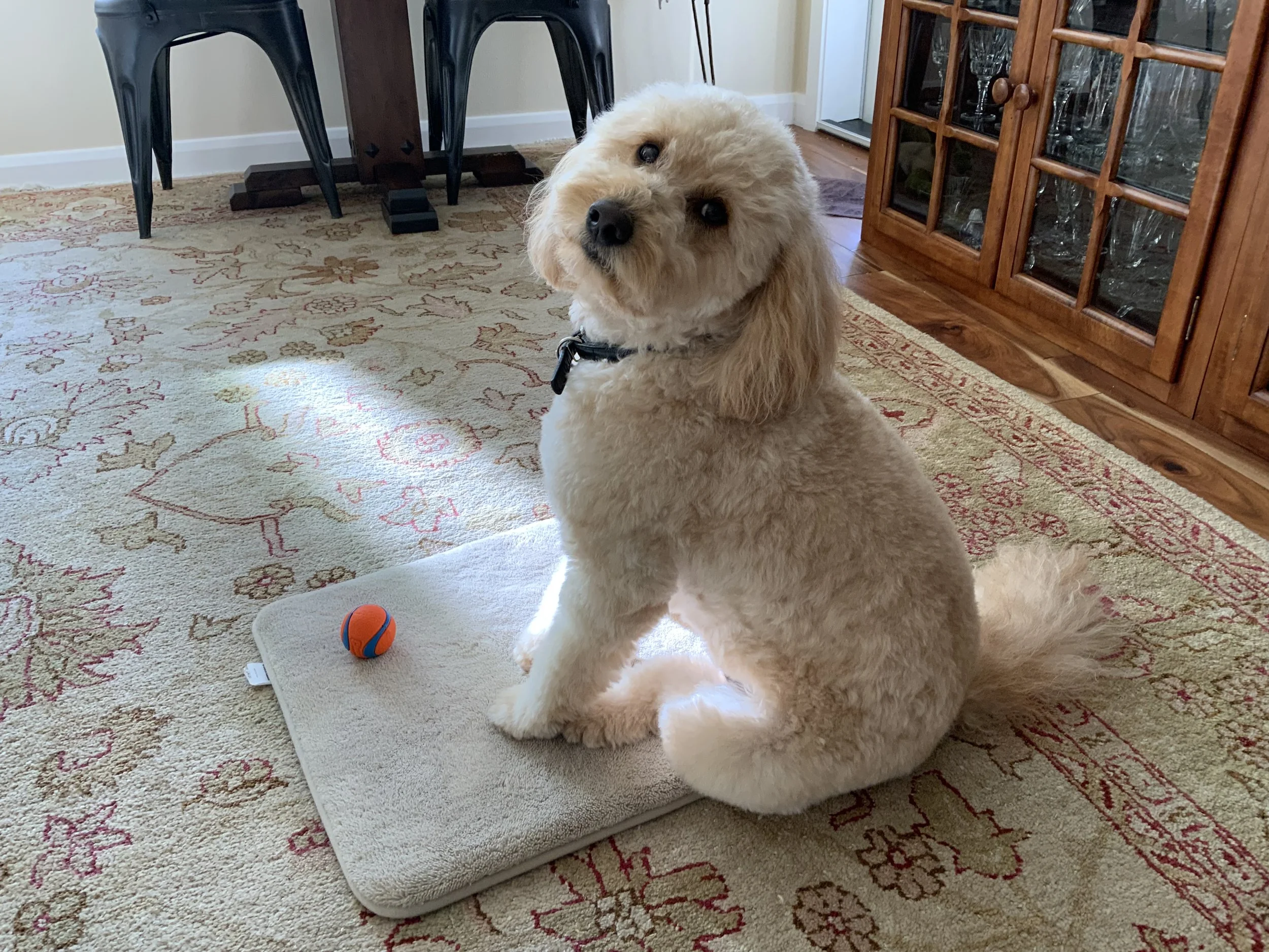 #37 A WOMAN'S BRIEFS: "Everything, Everywhere, All At Once"