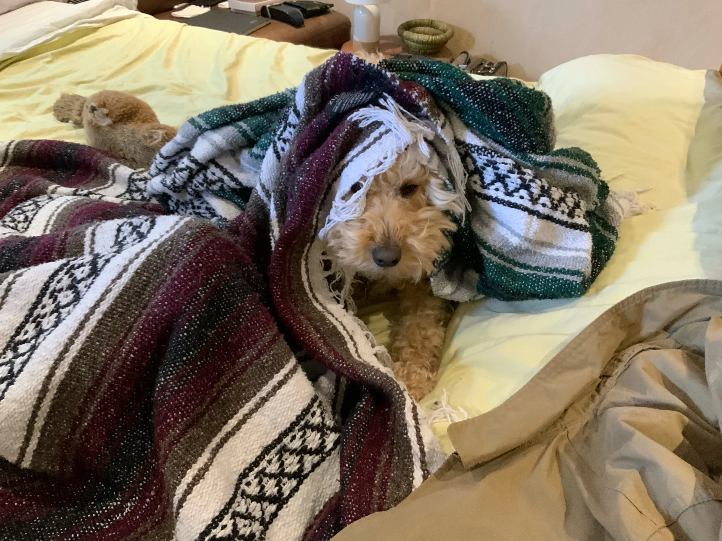 #7 SCOOTER TRAVEL JOURNAL - September 23, ‘23 Santa Fe