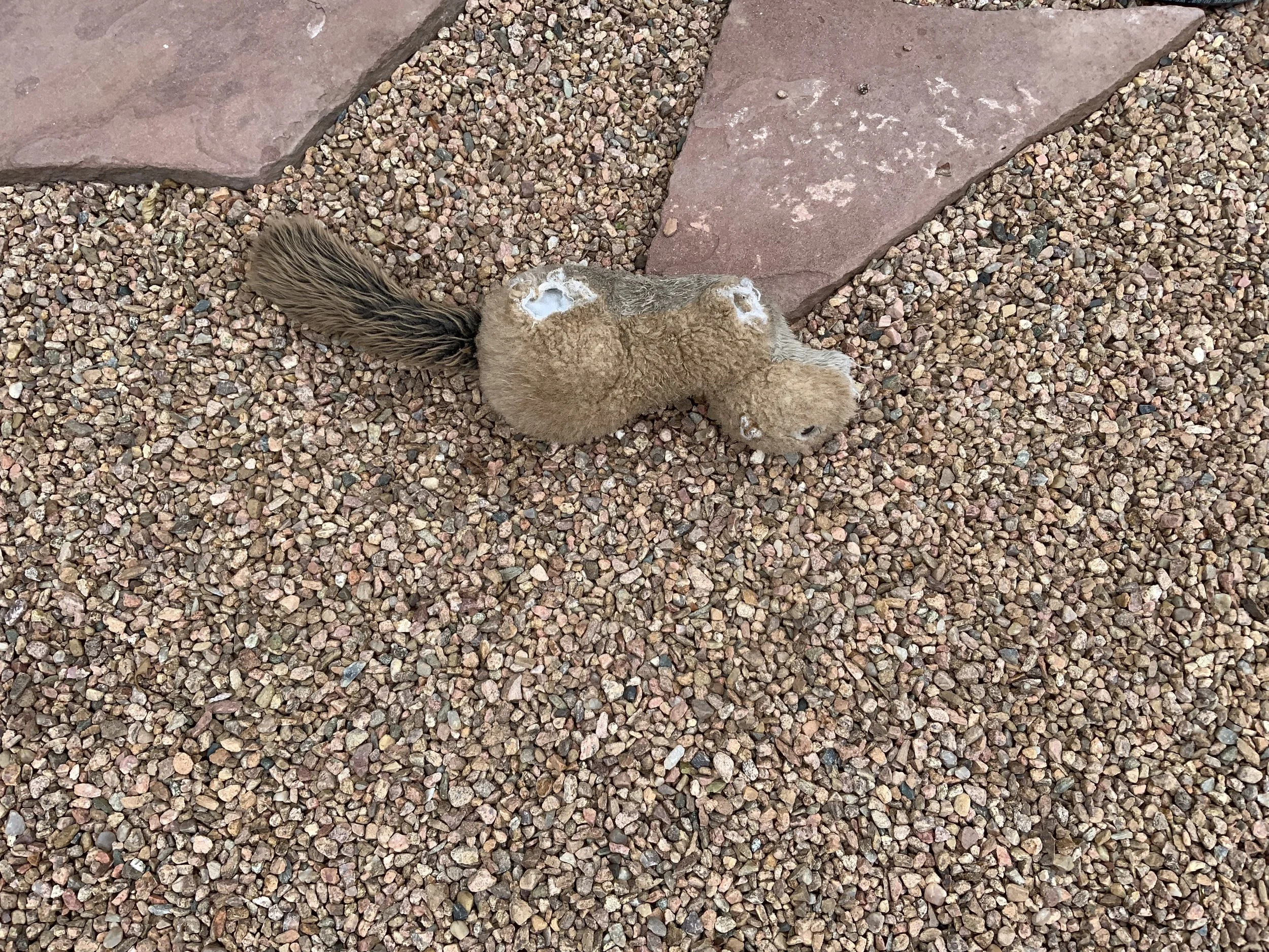 #8 SCOOTER SUBLIME'S TRAVEL JOURNAL - NEW MEXICO TO UTAH