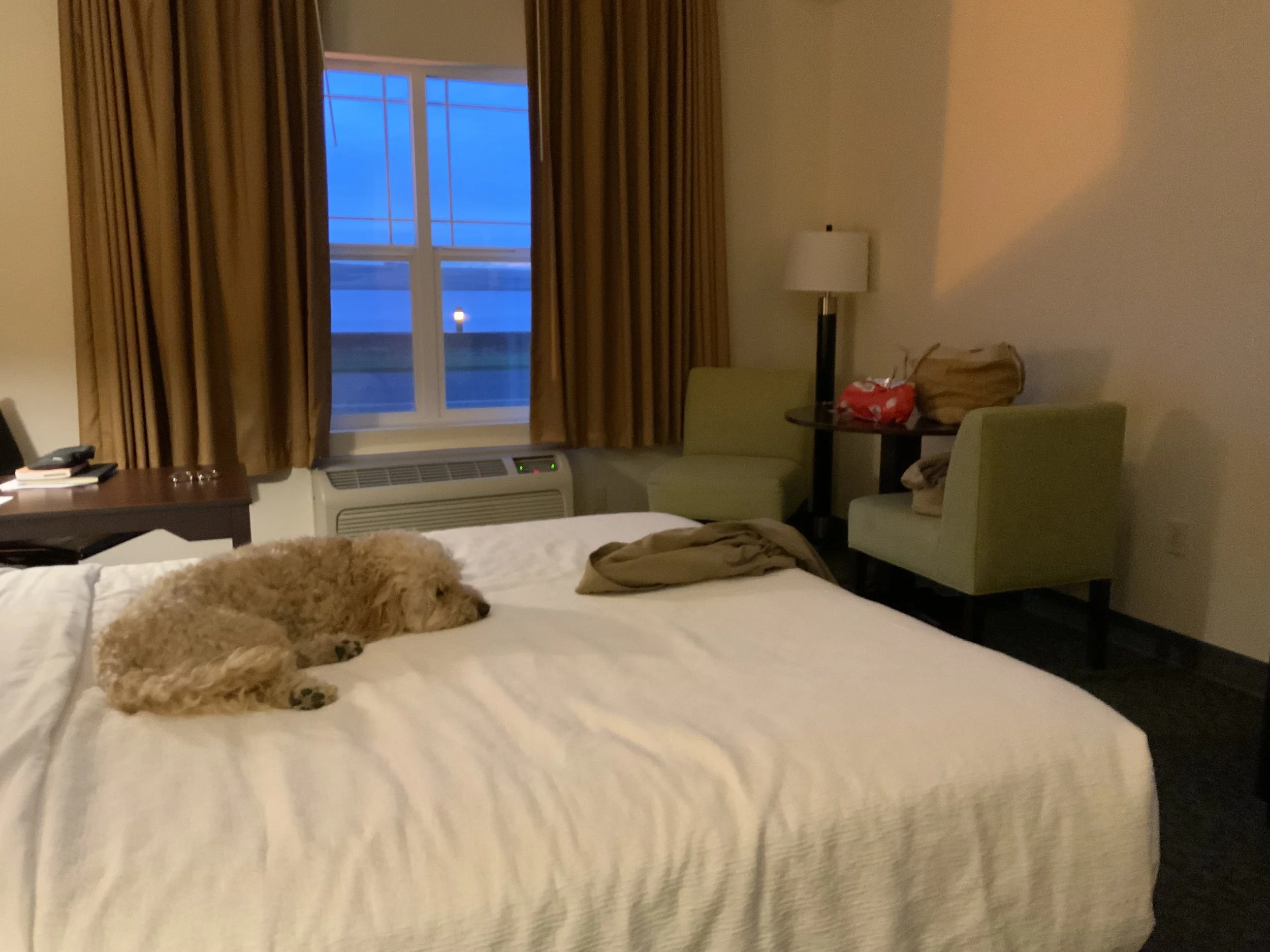 #9 SCOOTER SUBLIME'S TRAVEL JOURNAL - BOARDMAN, OR. TO GIG HARBOR, WA.