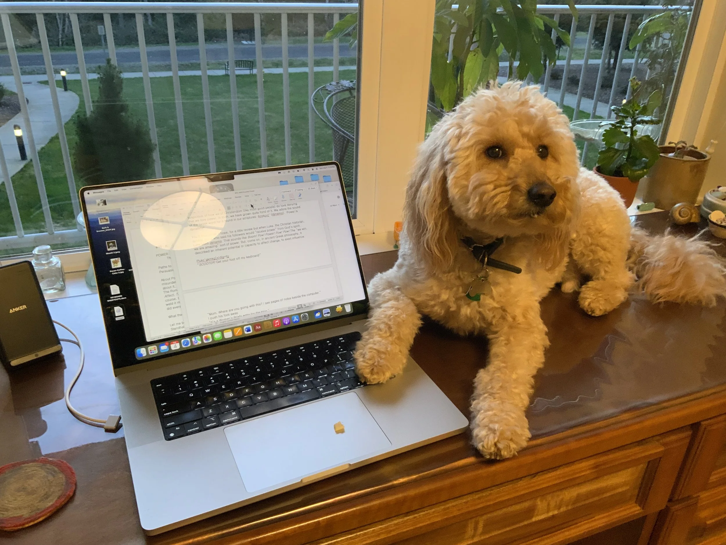 #45 A WOMAN'S (+SCOOTER) BRIEFS