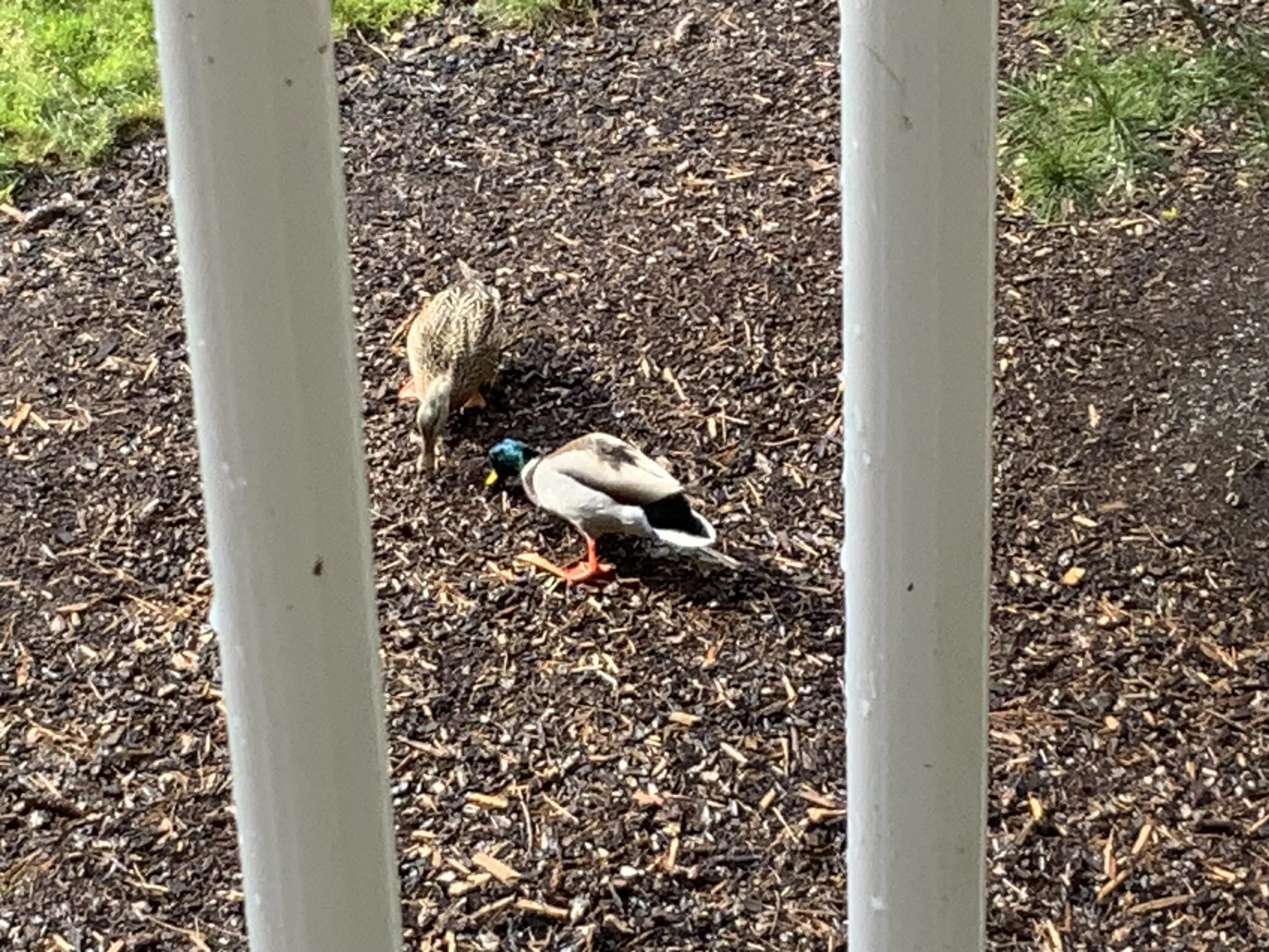 #46 A Woman's Briefs -- LIFE