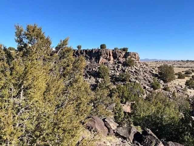 #56 A Woman’s Briefs -Petroglyphs 12-09-24