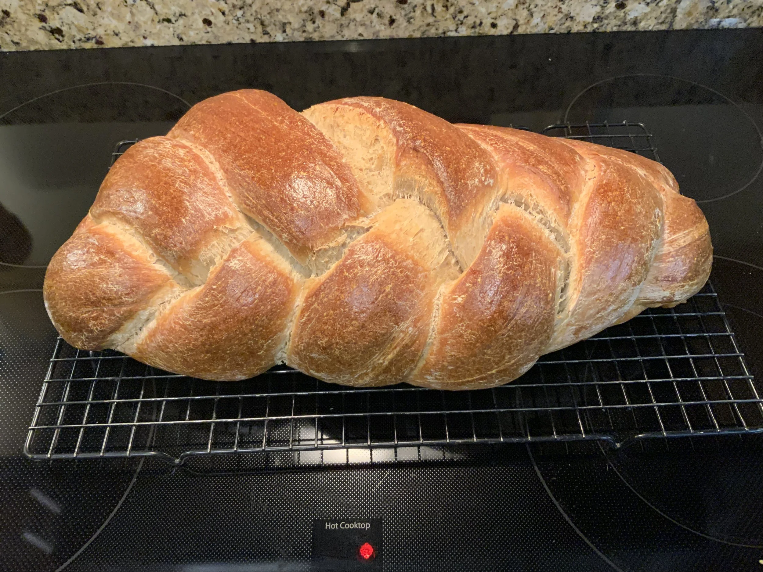 #66 A WOMAN'S BRIEFS: DAY EIGHT - EASTER ANGUISH