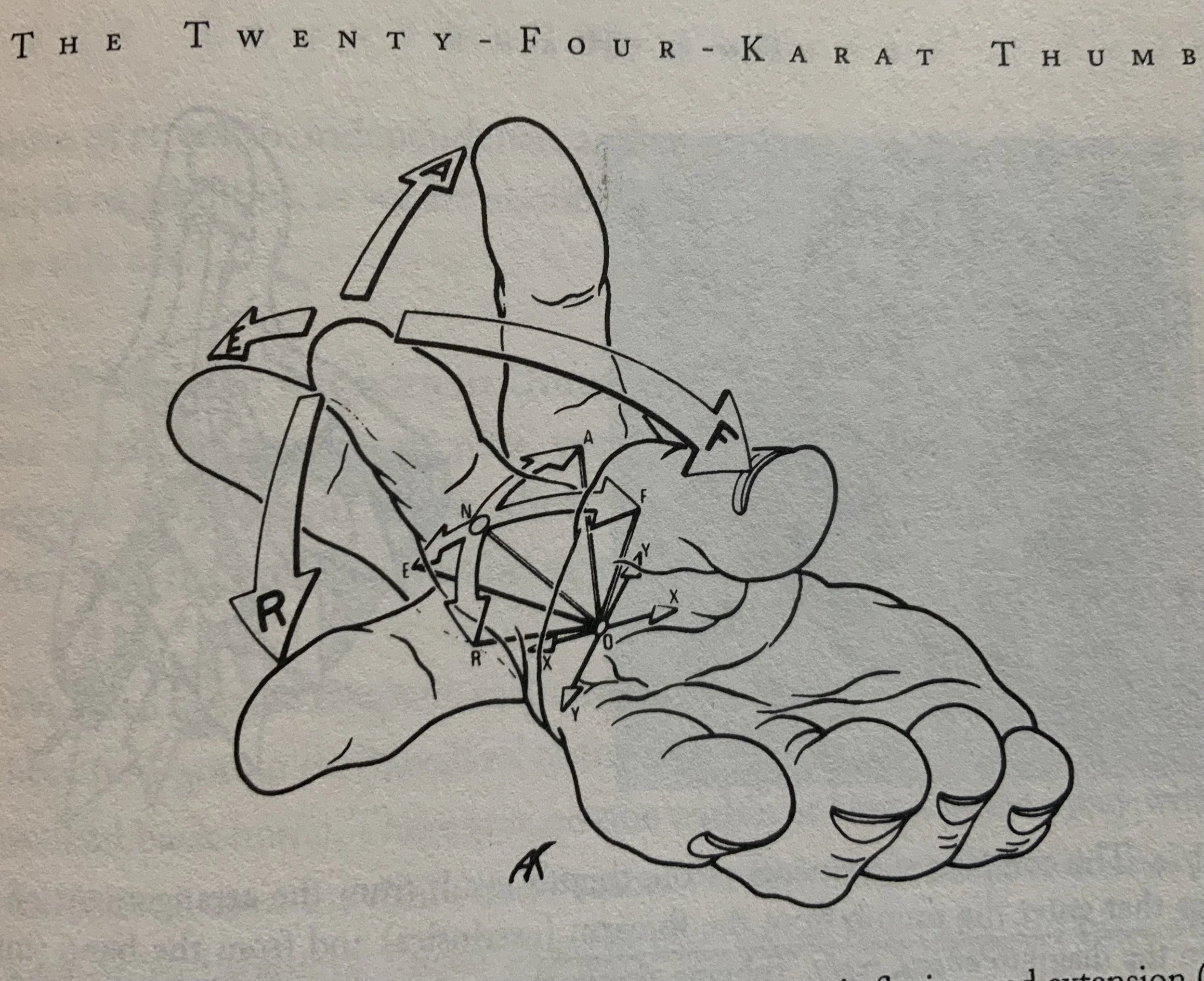 #75 A WOMAN'S BRIEFS - A SWIVEL & A THUMB