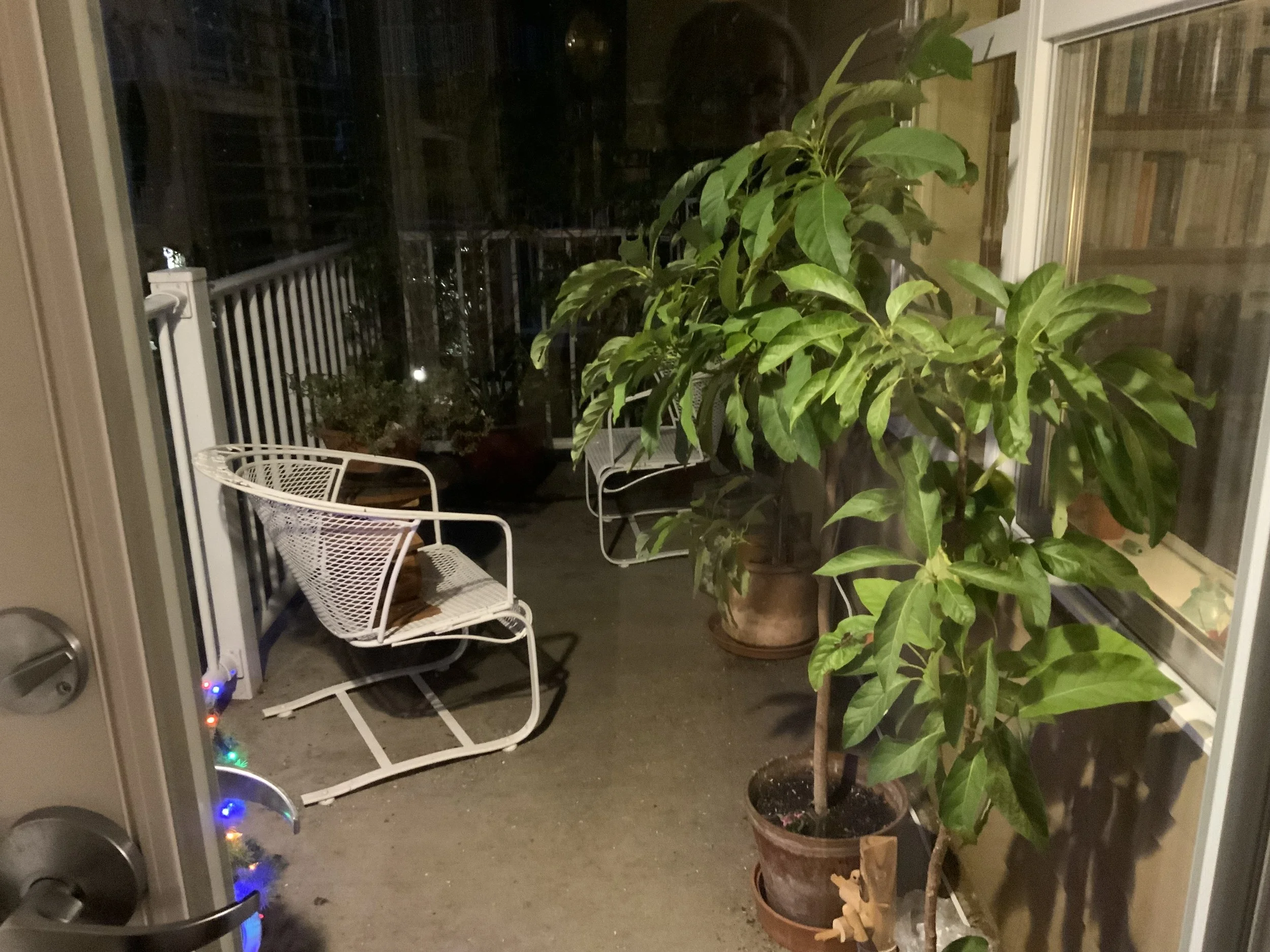 #81 A WOMAN'S BRIEFS -- DECEMBER