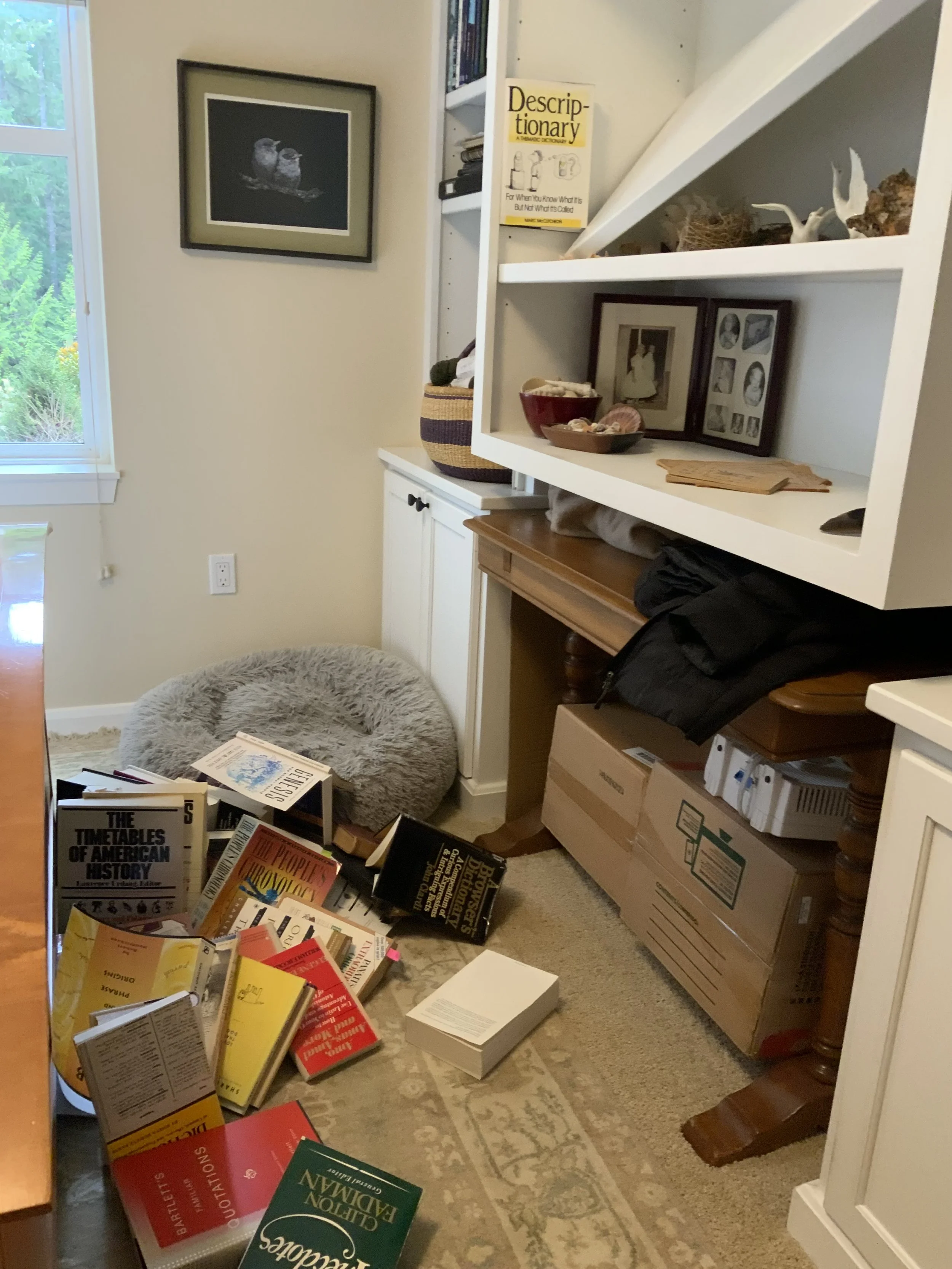 #89 A WOMAN'S BRIEFS   "OR, THEREABOUTS"