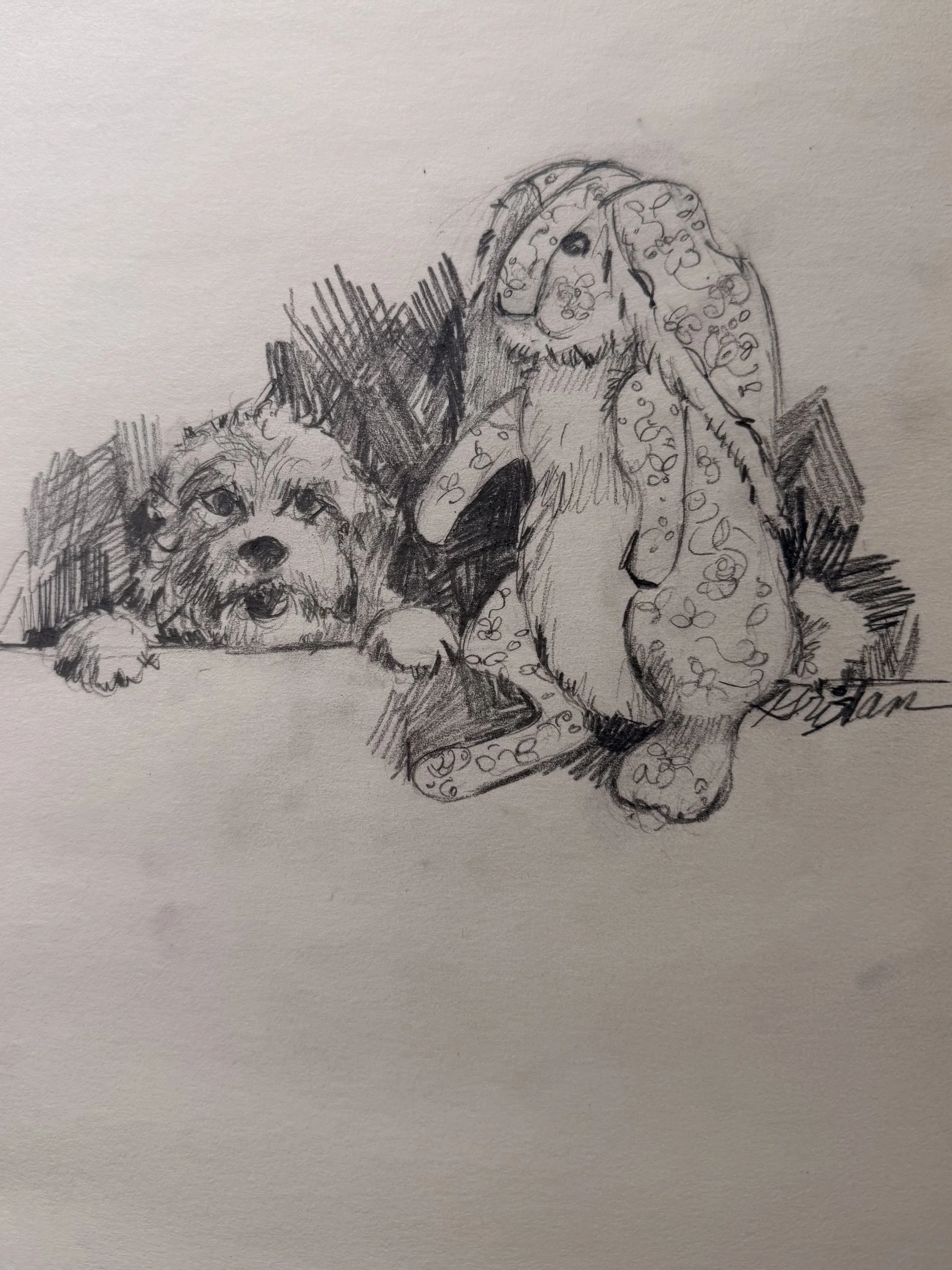 #1a SHELF PHILOSOPHER - AristophBunnies Speaks Philosophically