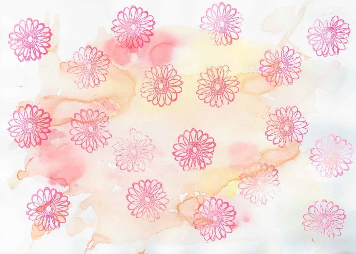 daisies.jpg