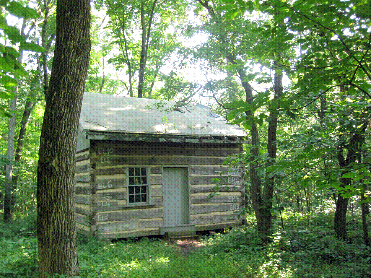 Stein+Cabin.gif