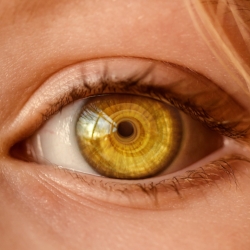 Biometrics are valuable, but enterprises using the biometrics need to apply them against the right risk for the enterprise. 