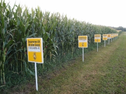 Supply Chain of Information is present even in measuring our food supply.