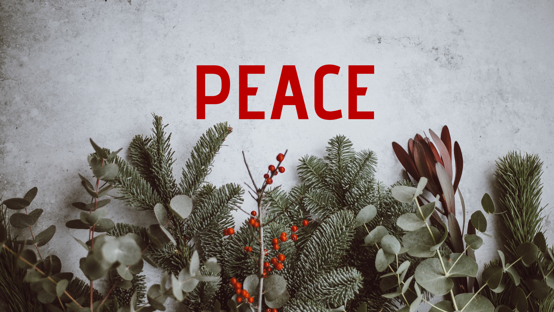 Jesus, Our Peace