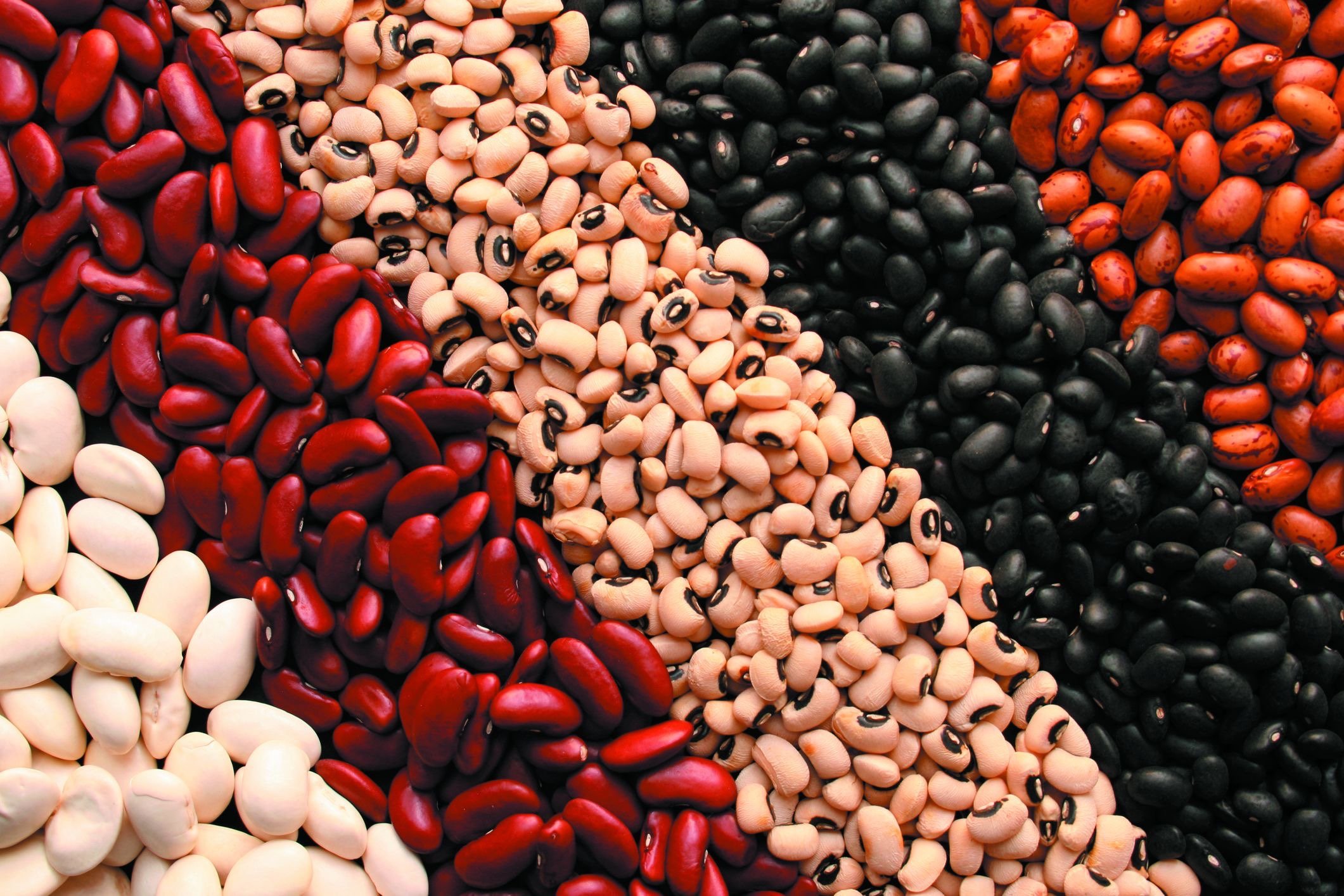 Donate Food to the Co-op