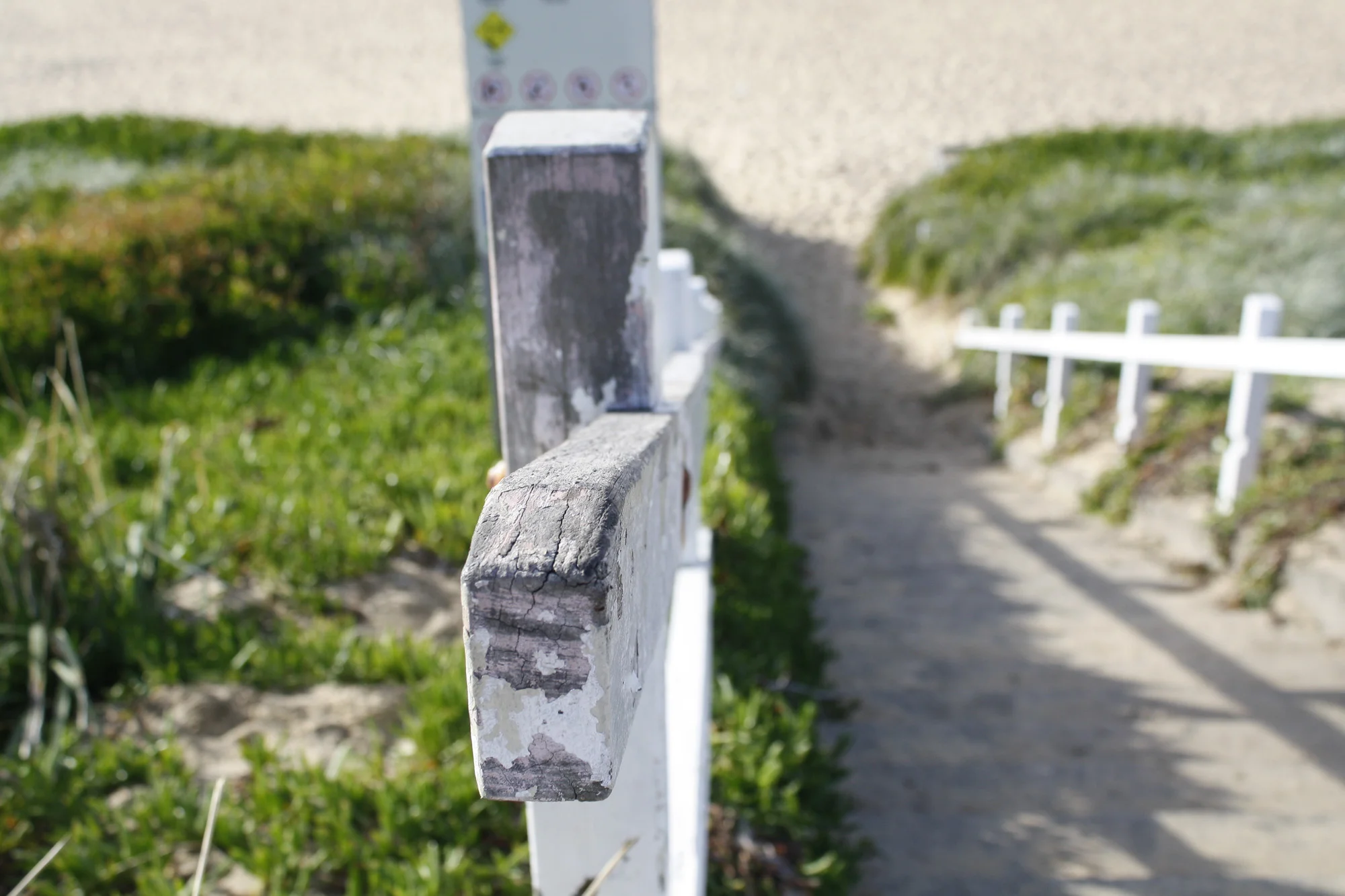 _MG_4020.jpg