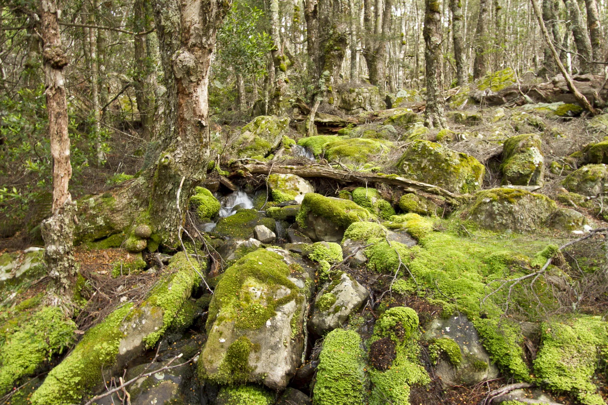 _MG_5051.jpg