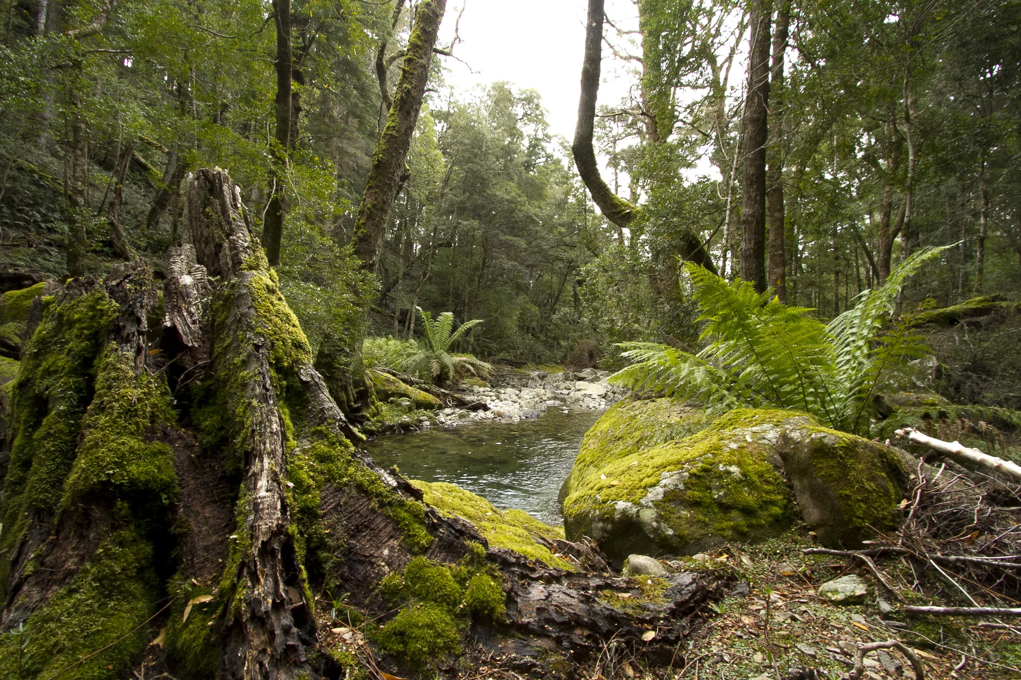 _MG_5075.jpg