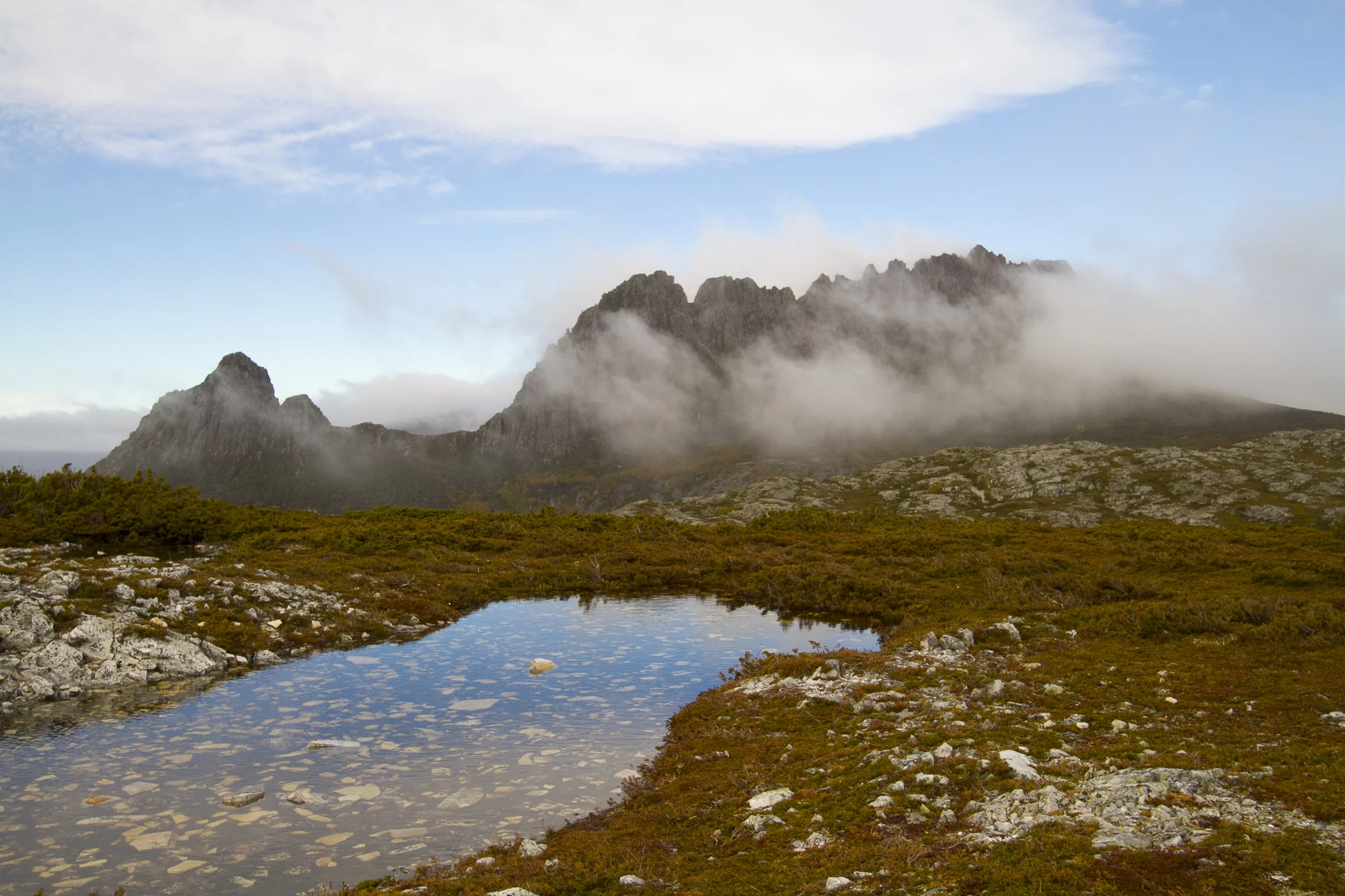 _MG_5250.jpg