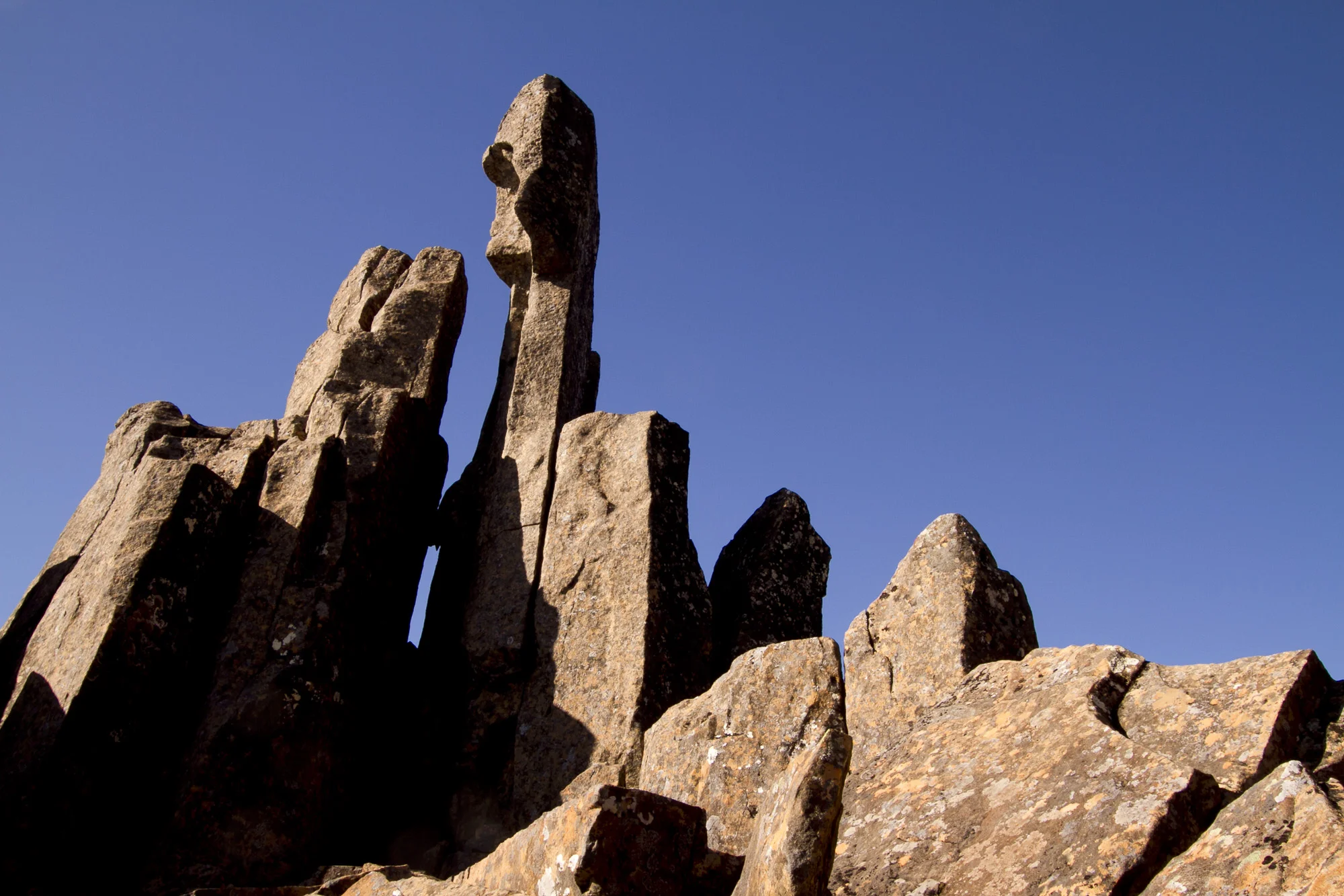 _MG_5294.jpg