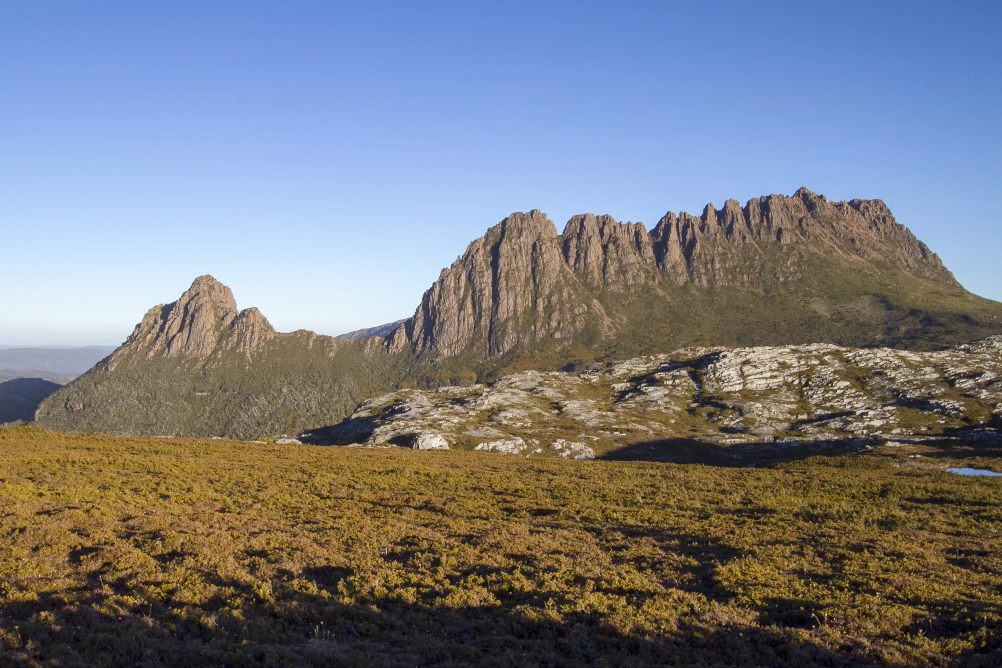 _MG_5360.jpg