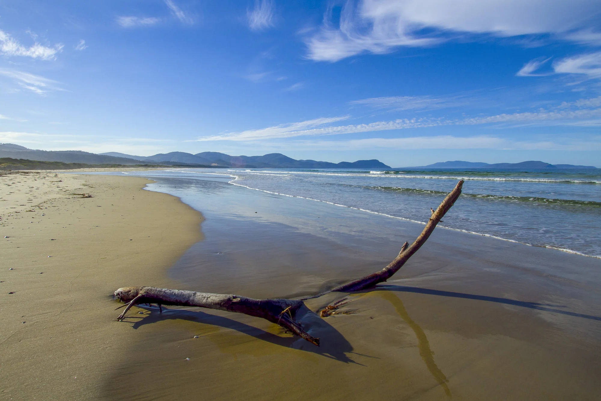 Tasmania23 for web.jpg
