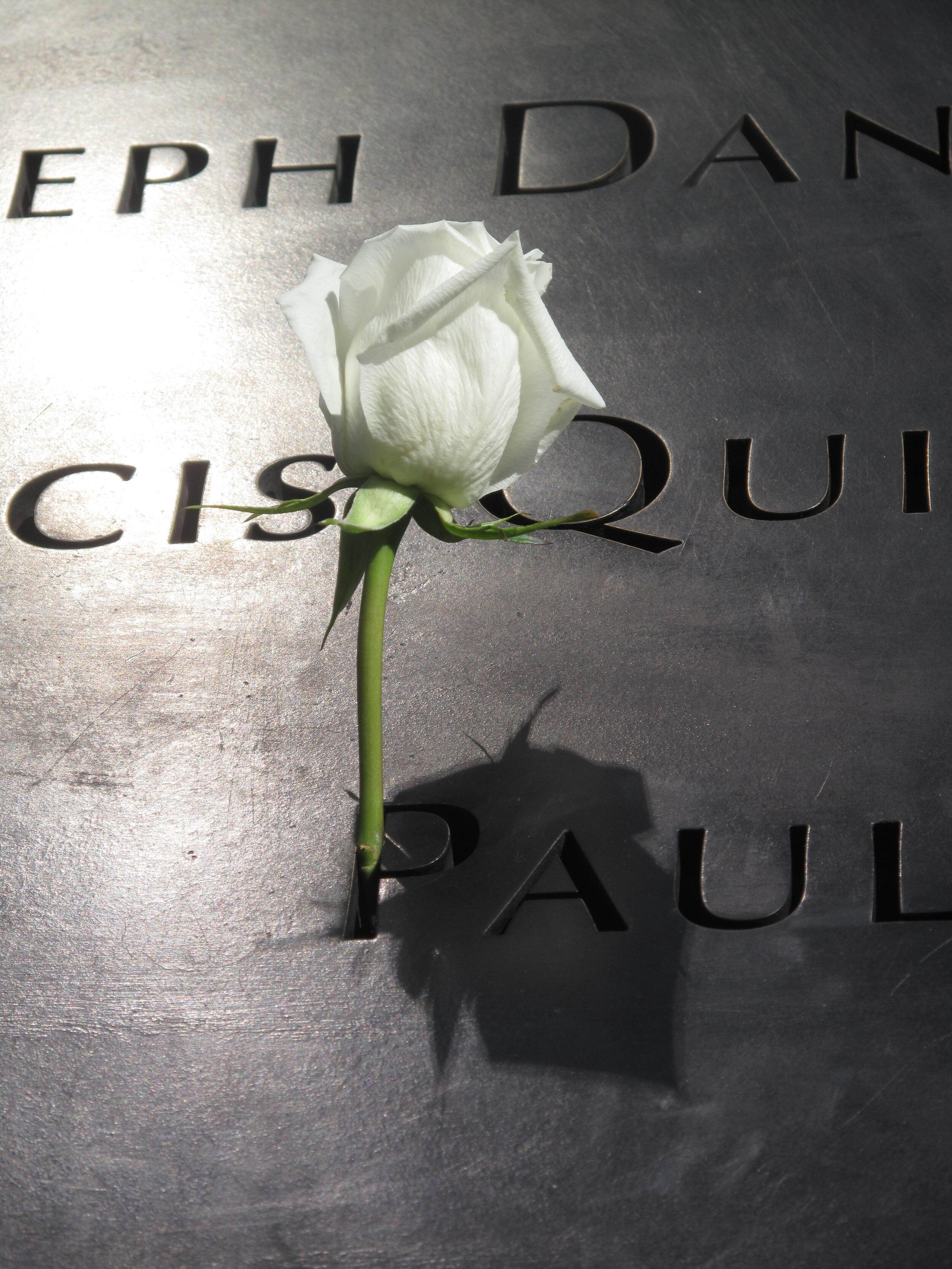 Grief in the Face of Burning Cities