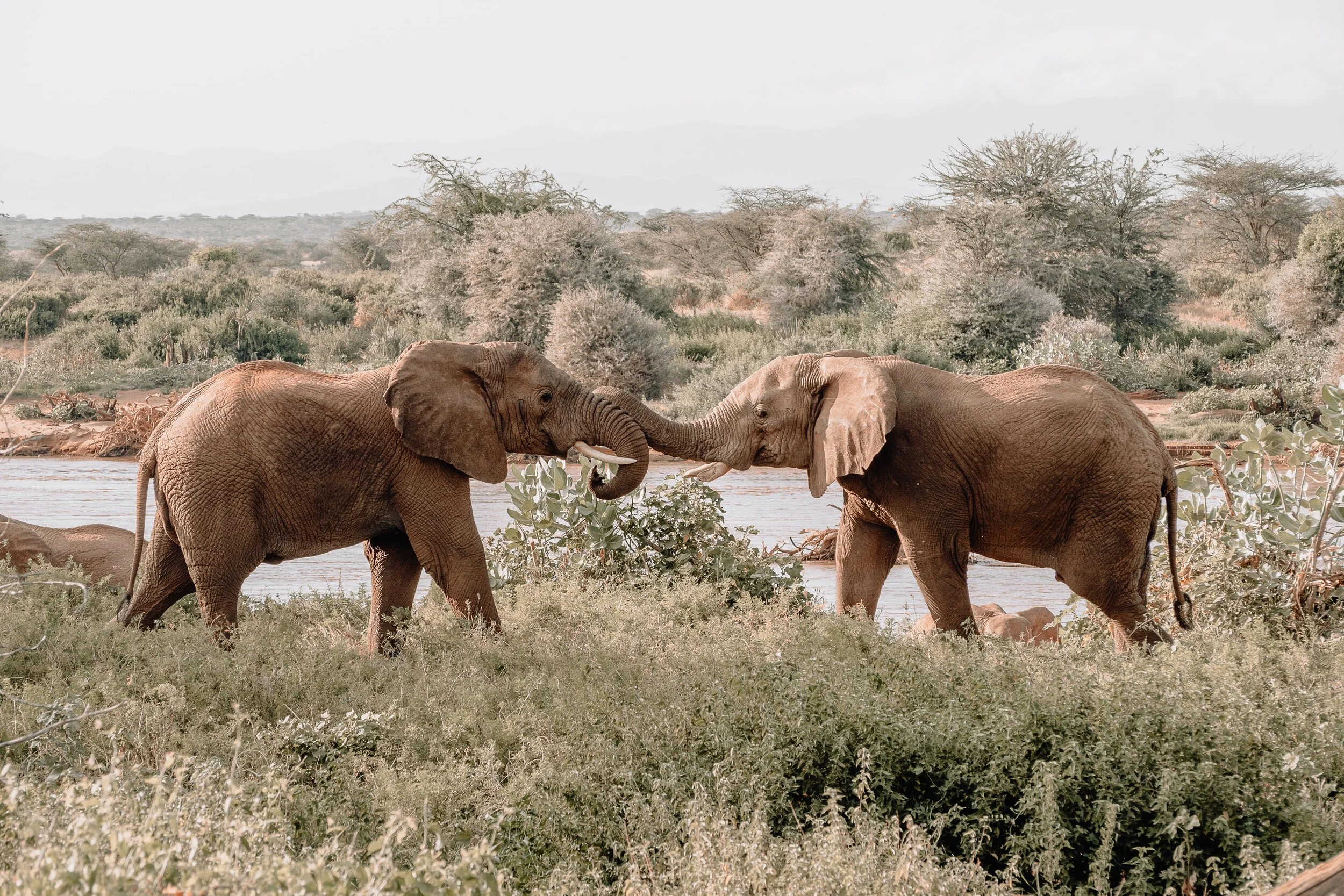 4 Valuable Connections I Made During My Travel