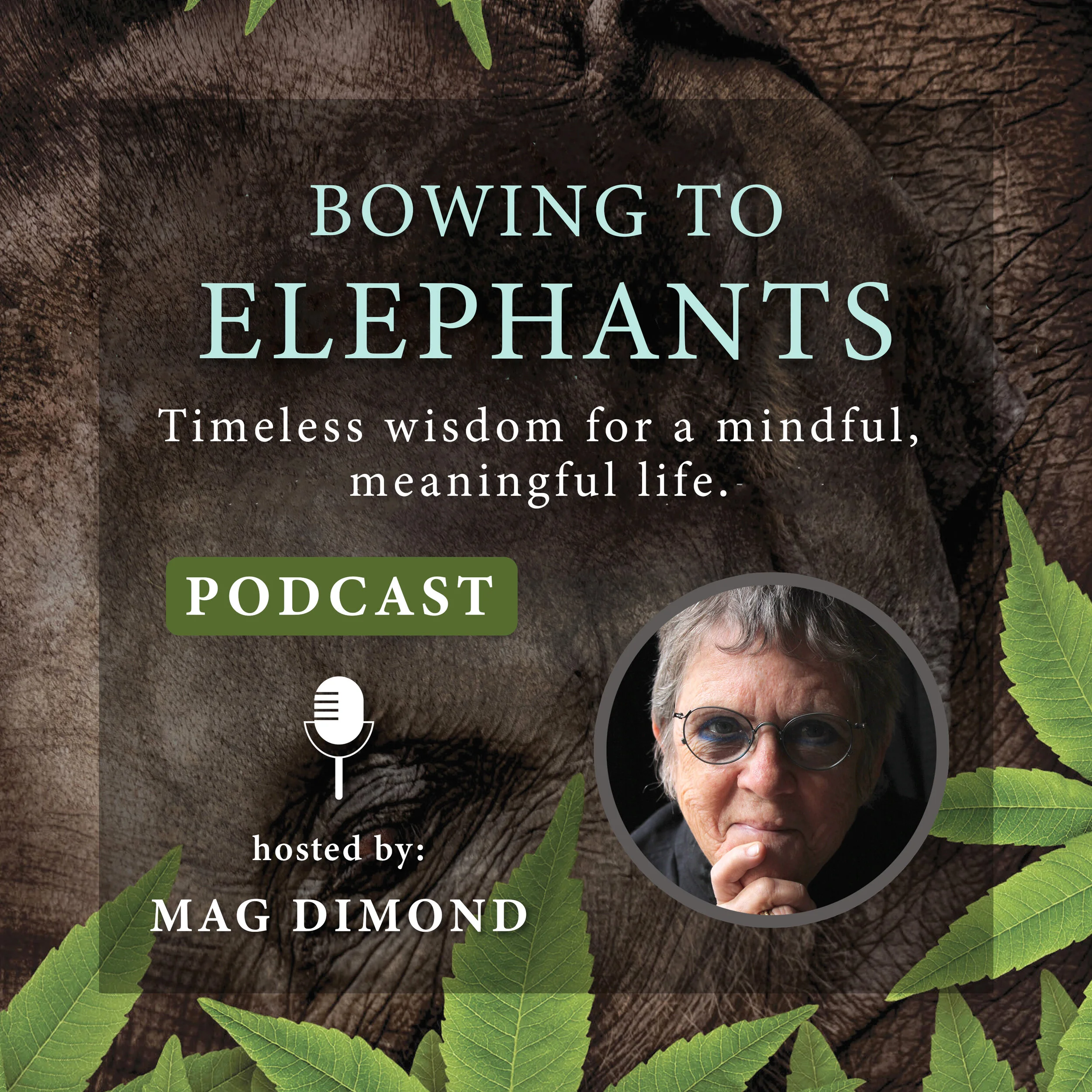 Celebrating the Bowing to Elephants Podcast Launch