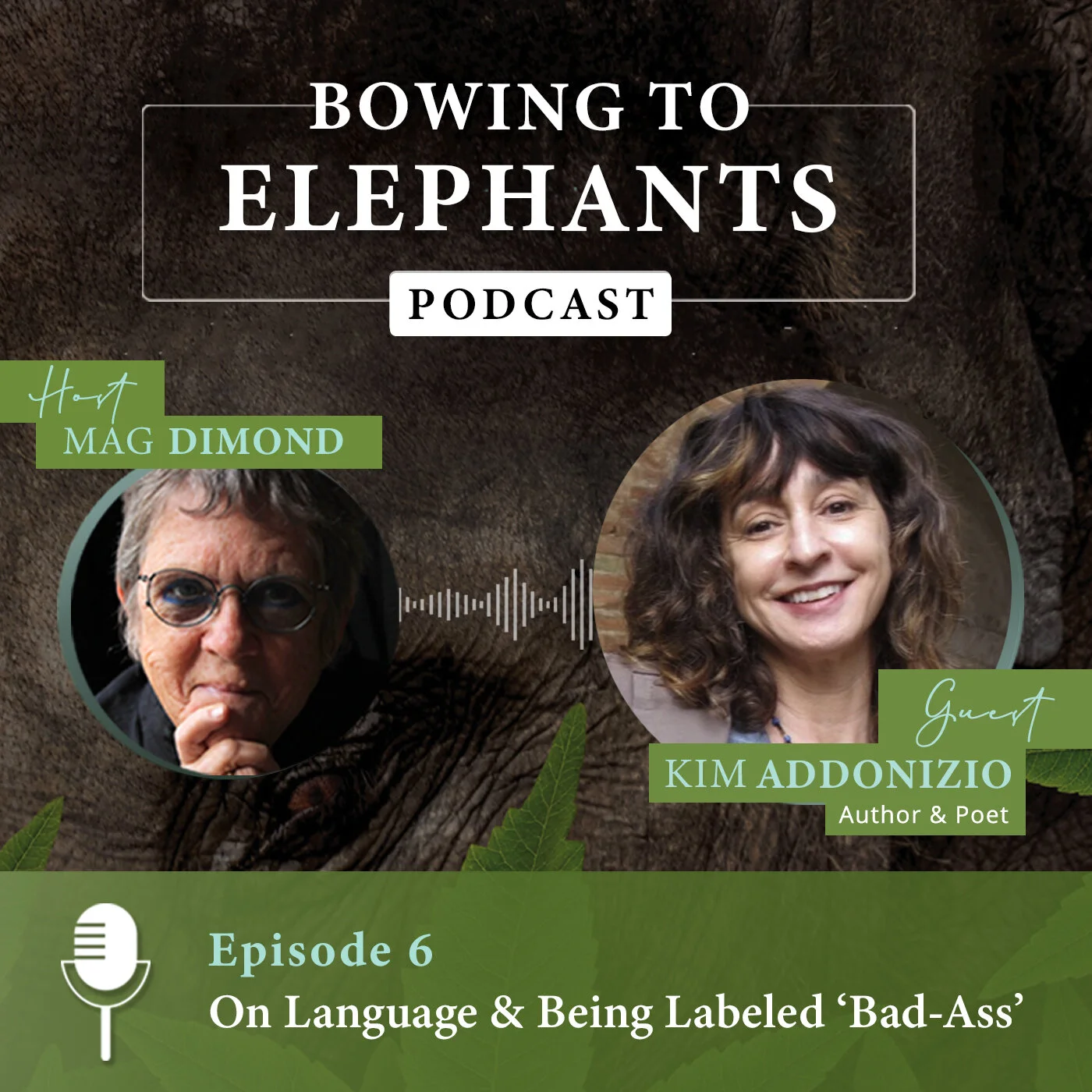 On Language &amp; Being Labeled ‘Bad-Ass’  with Kim Addonizio