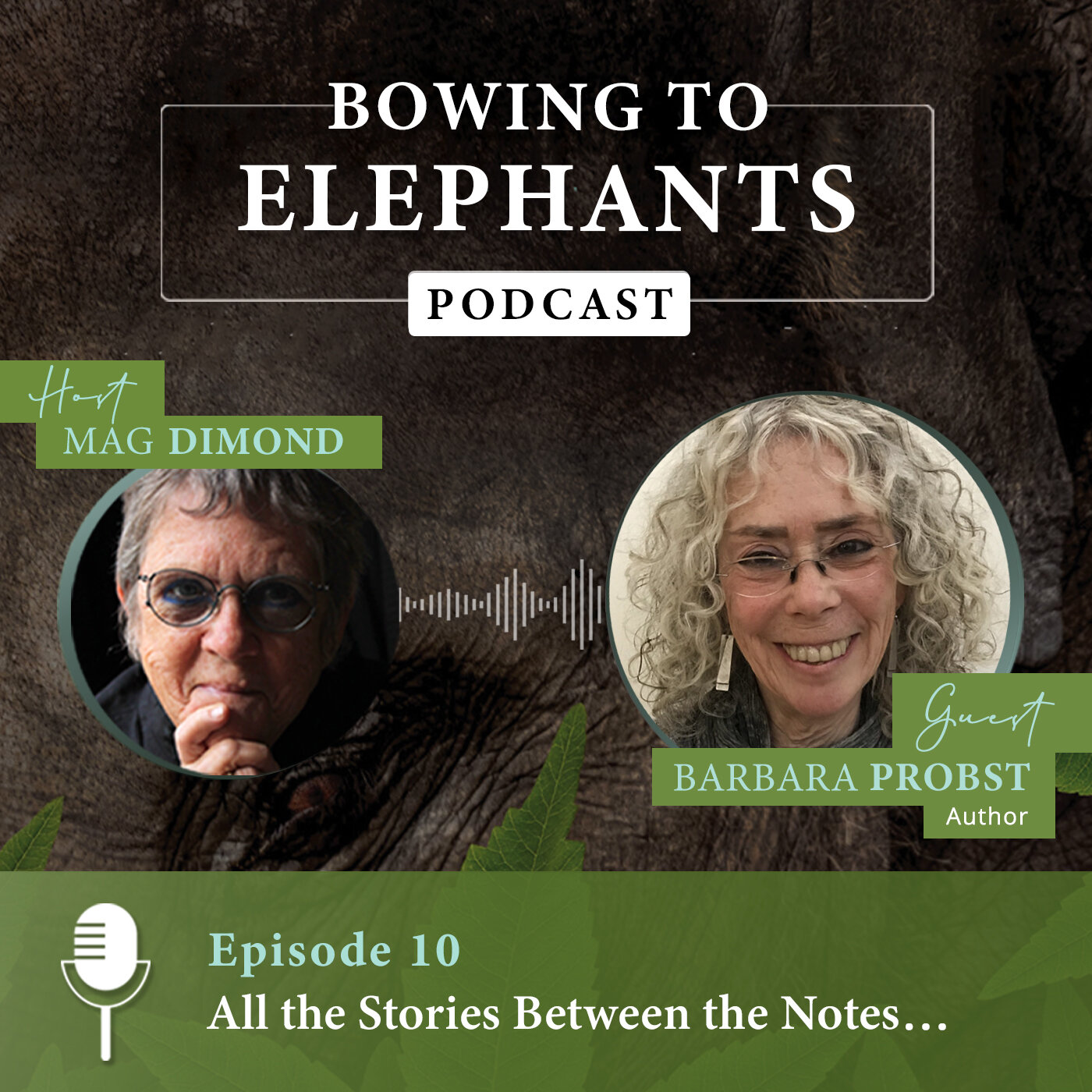 All The Stories Between The Notes with Barbara Linn Probst and Mag Dimond