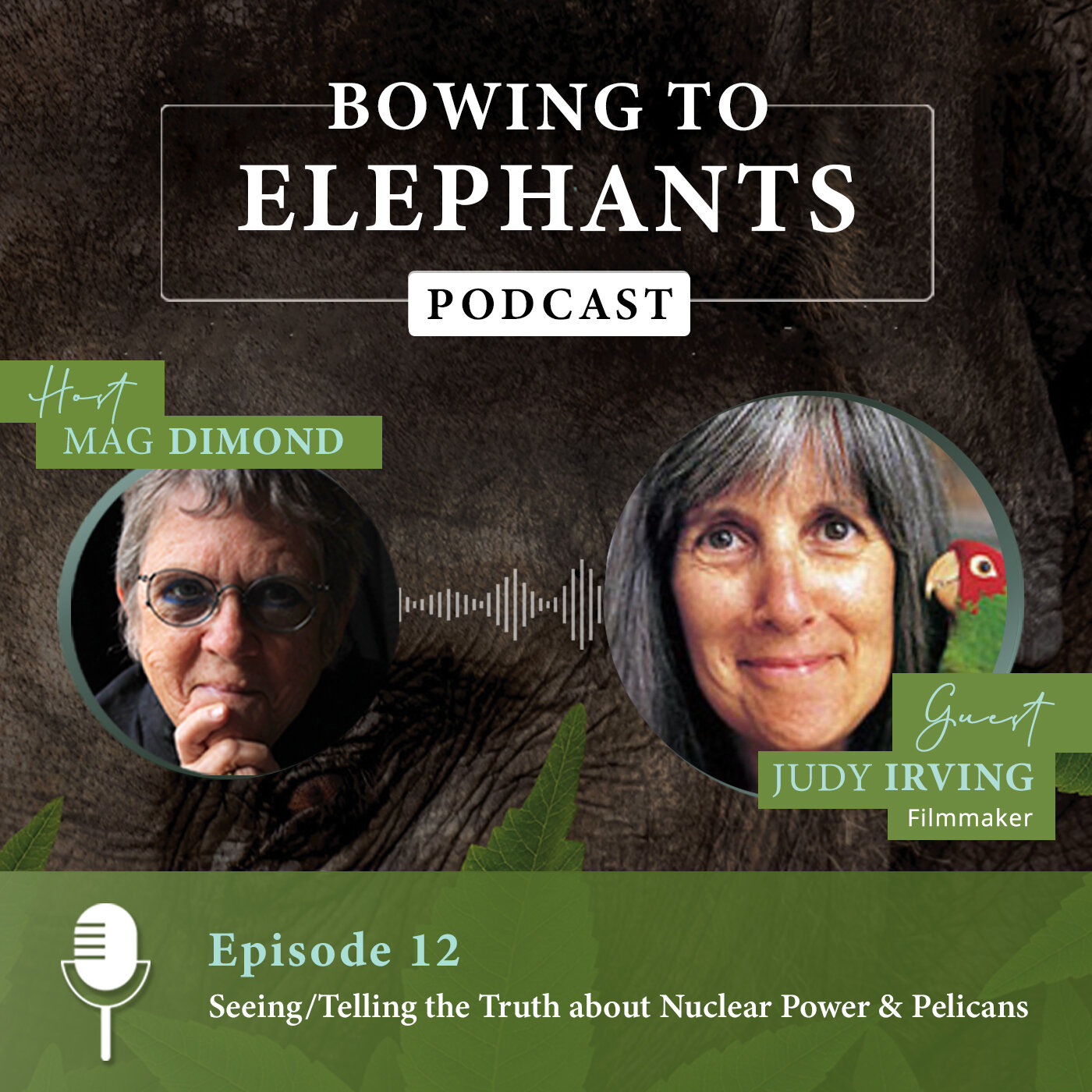 Seeing/Telling The Truth About Nuclear Power &amp; Pelicans with Judy Irving