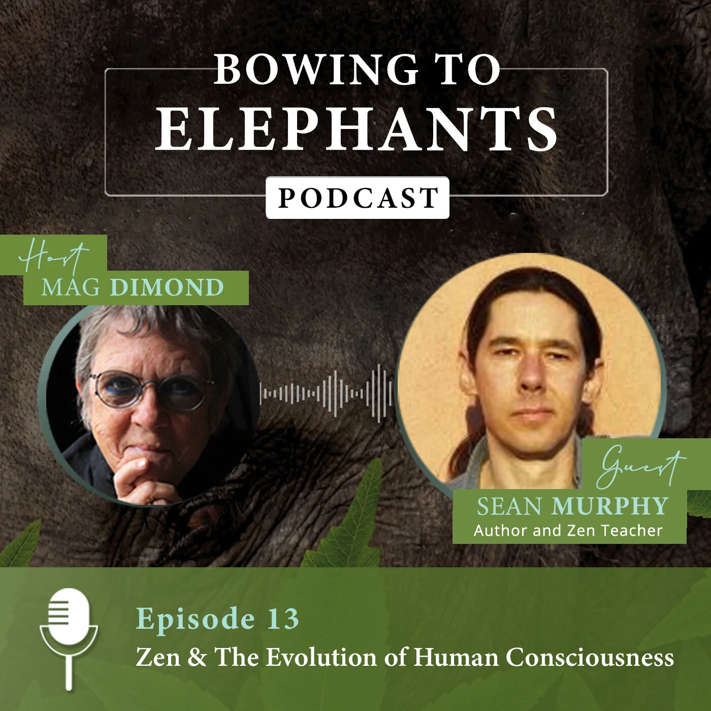Zen &amp; The Evolution of Human Consciousness with Sean Murphy
