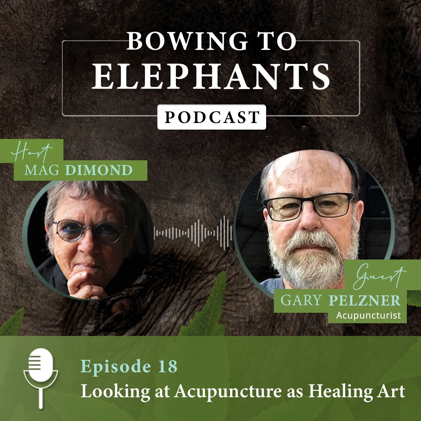 Looking at Acupuncture as Healing Art with Gary Pelzner
