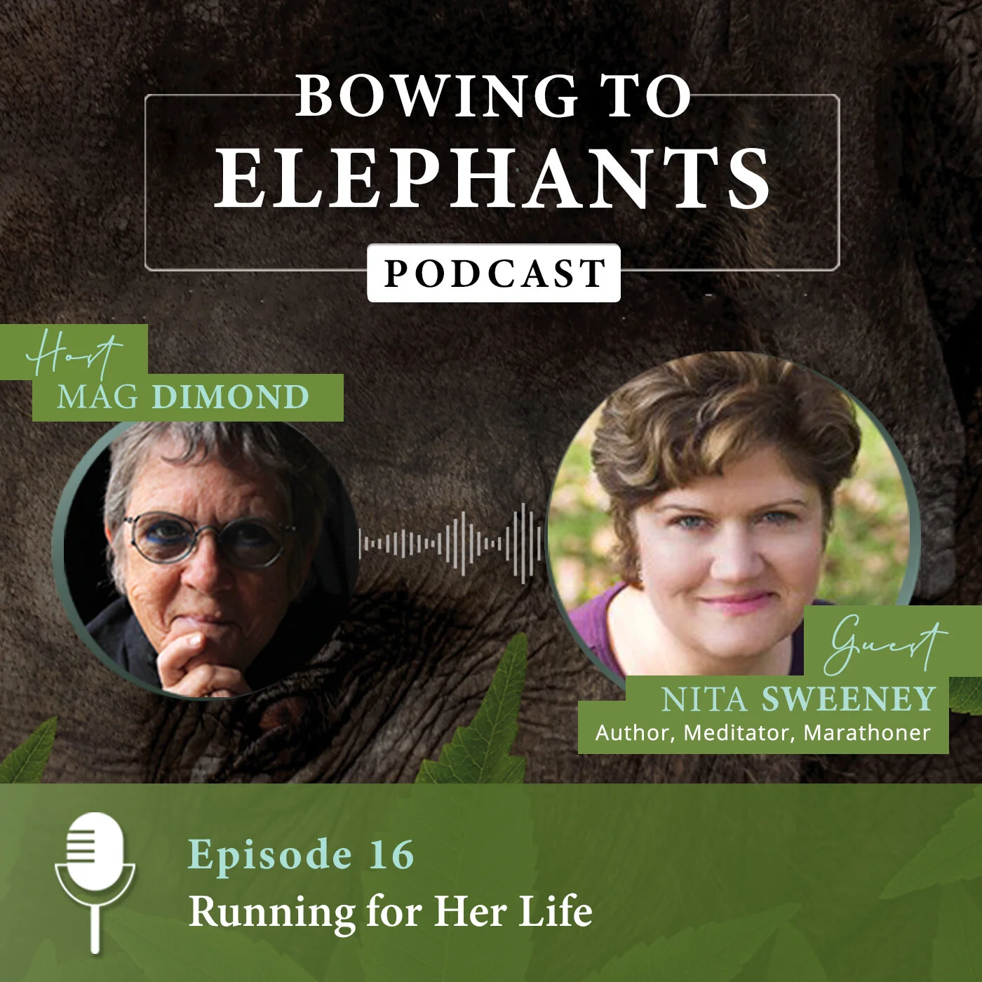 Running for Her Life with Nita Sweeney