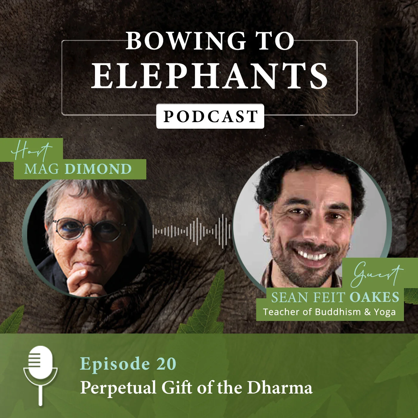 Perpetual Gift of the Dharma with Sean Feit Oakes