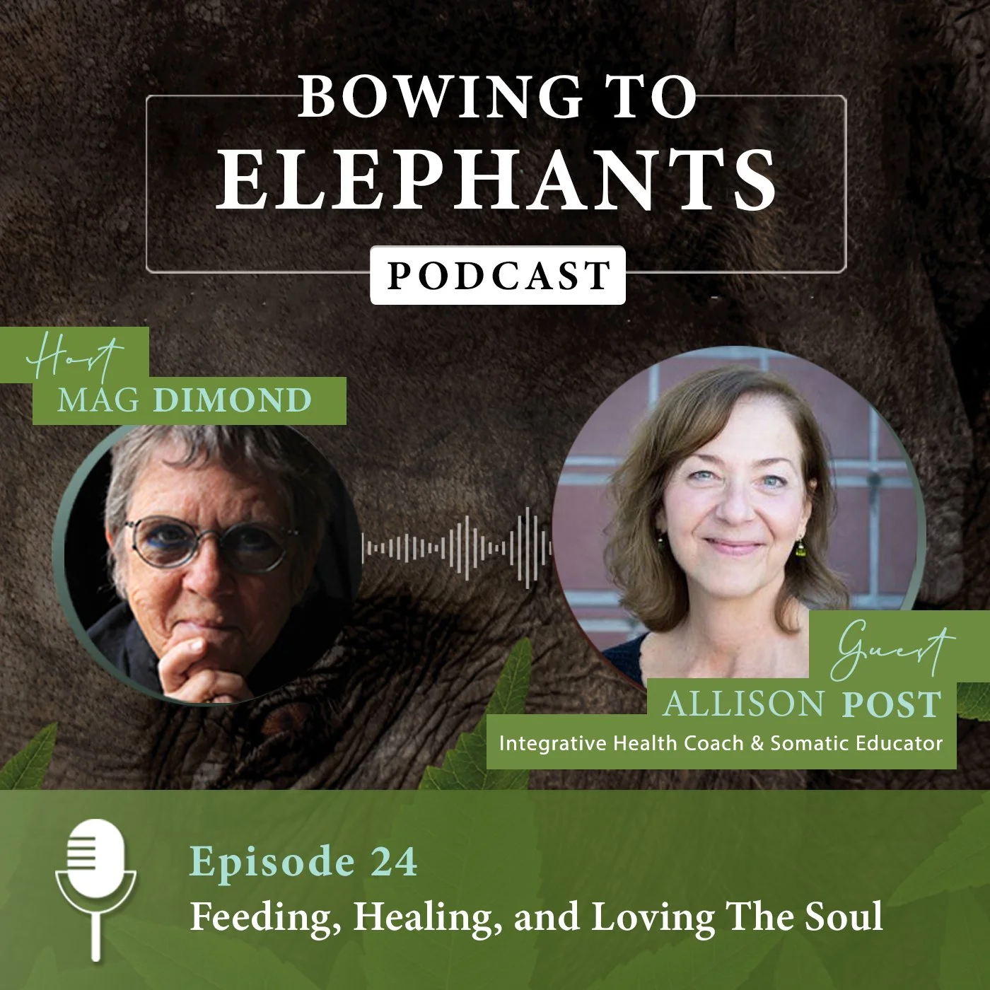 Feeding, Healing, &amp; Loving The Soul with Allison Post