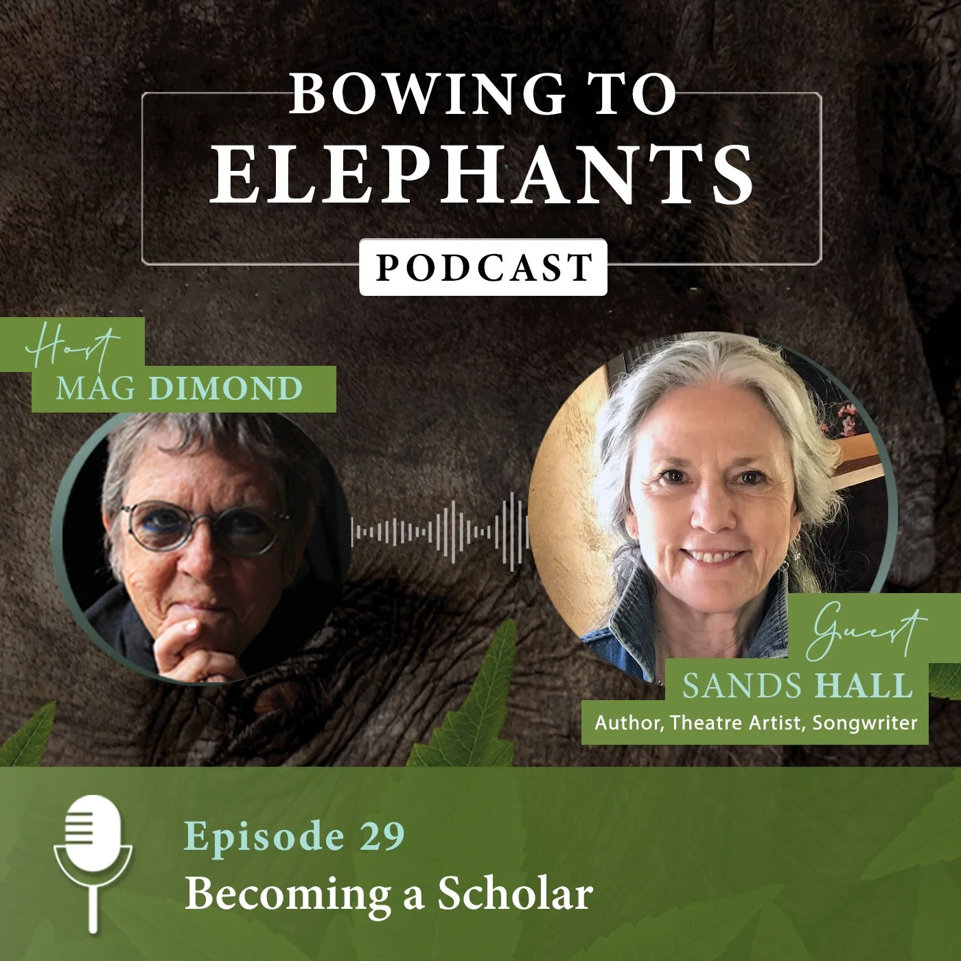 Becoming A Scholar with Sands Hall