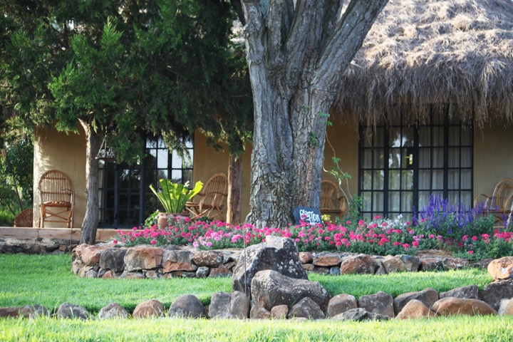 Kenya gardens2.jpg