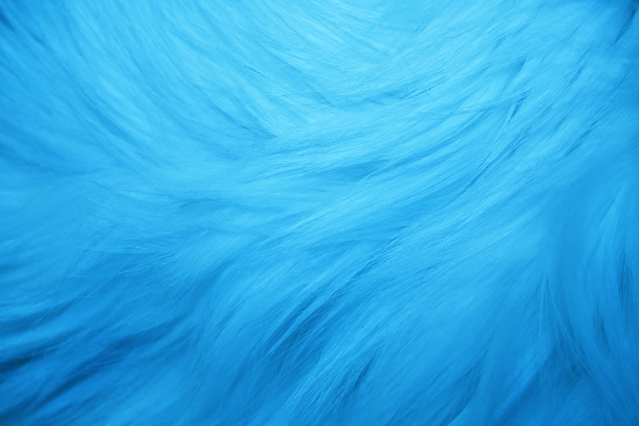 light-blue-fur-texture.jpg
