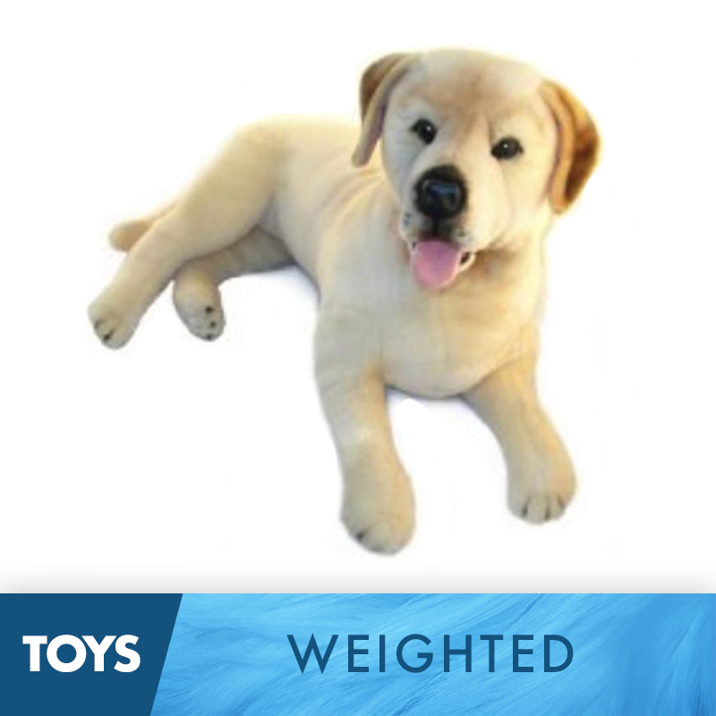 Weighted Labrador