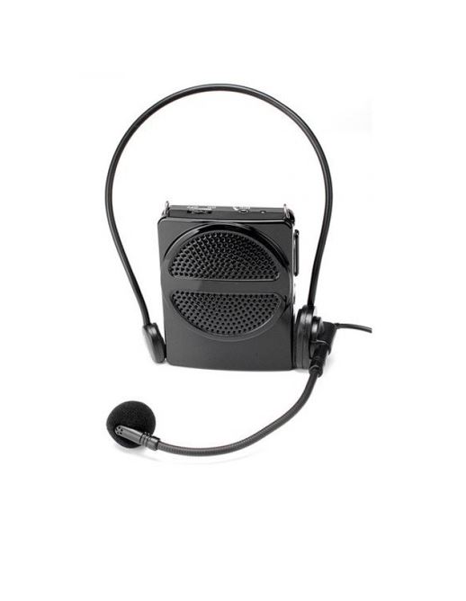 Mini Class Voice Amp 1.JPG