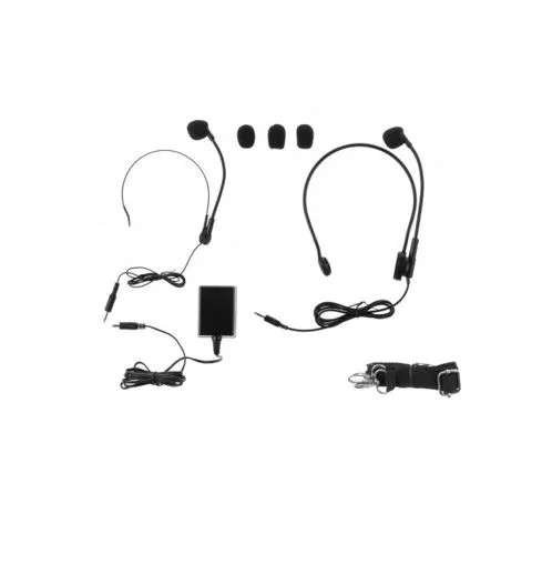 Mini Class Voice Amp 3.JPG