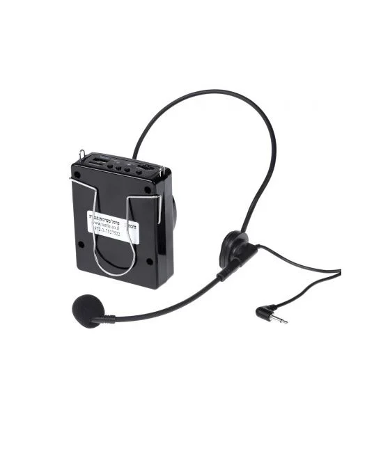 Power Voice Amp 4.JPG