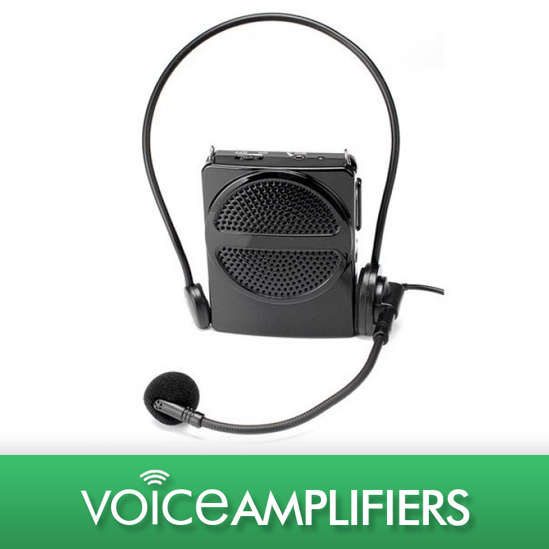 Mini Class Voice Amplifier